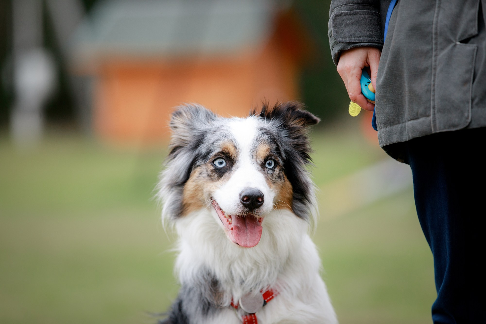 Лагерь по ОБД с Инной Баженовой. Фотограф-анималист Mary Mart — Москва, Питер
