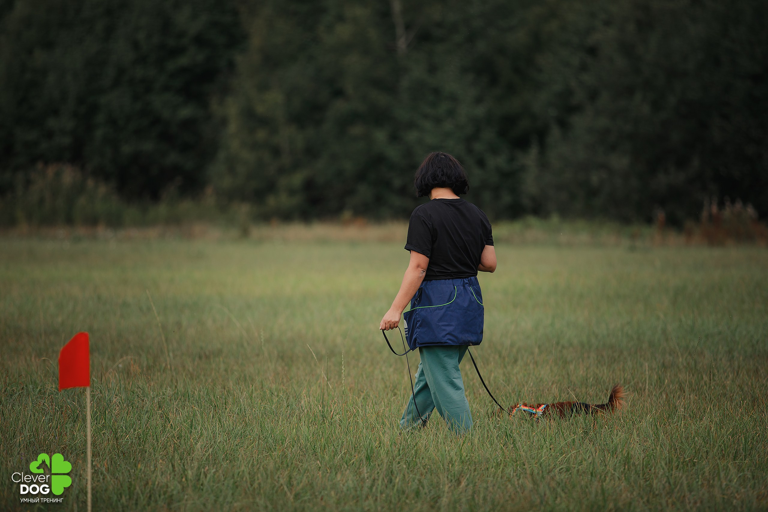 Кинологический лагерь CleverDog, 2024. Фотограф-анималист Mary Mart — Москва, Питер
