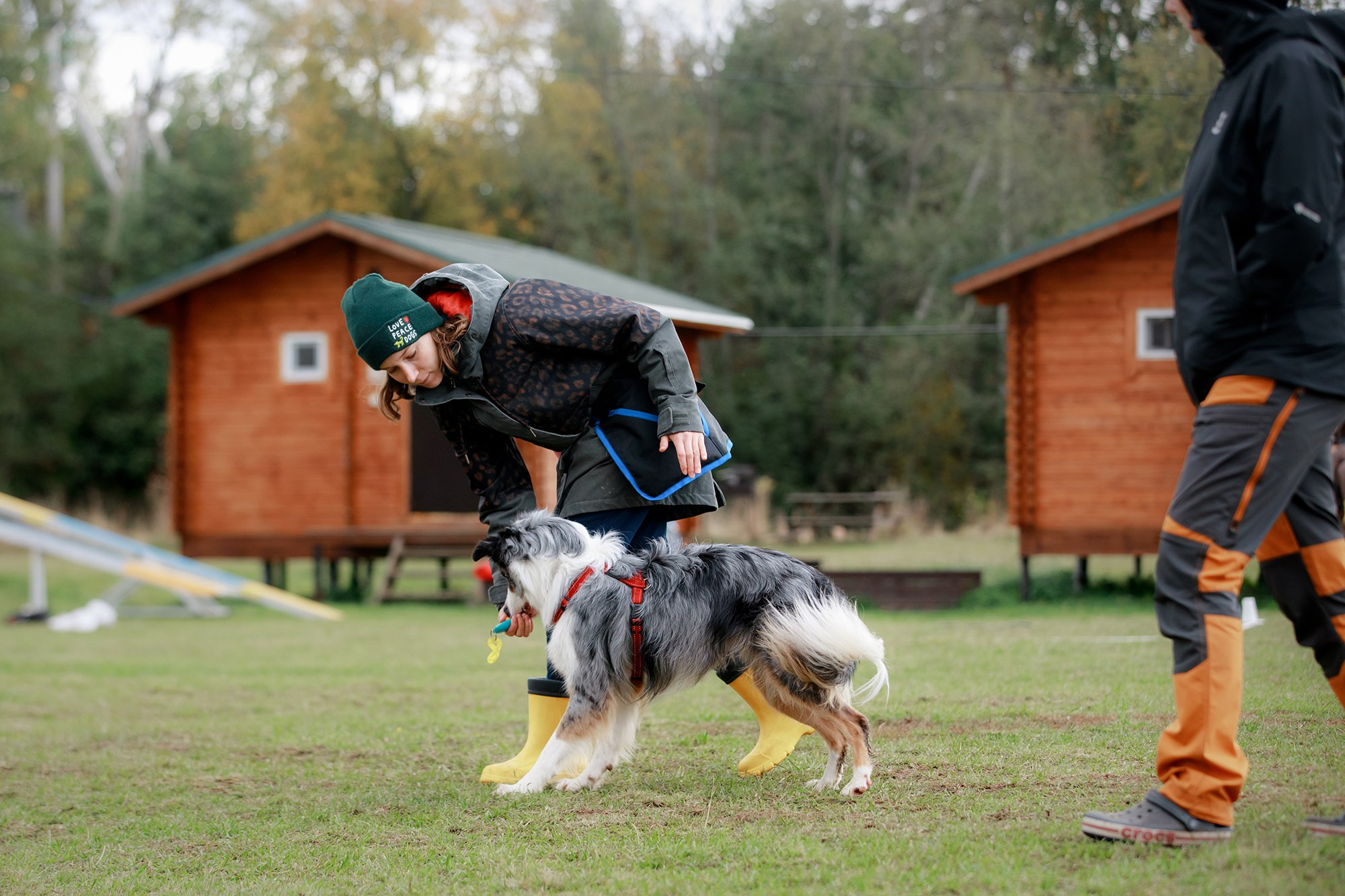 Лагерь по ОБД с Инной Баженовой. Фотограф-анималист Mary Mart — Москва, Питер