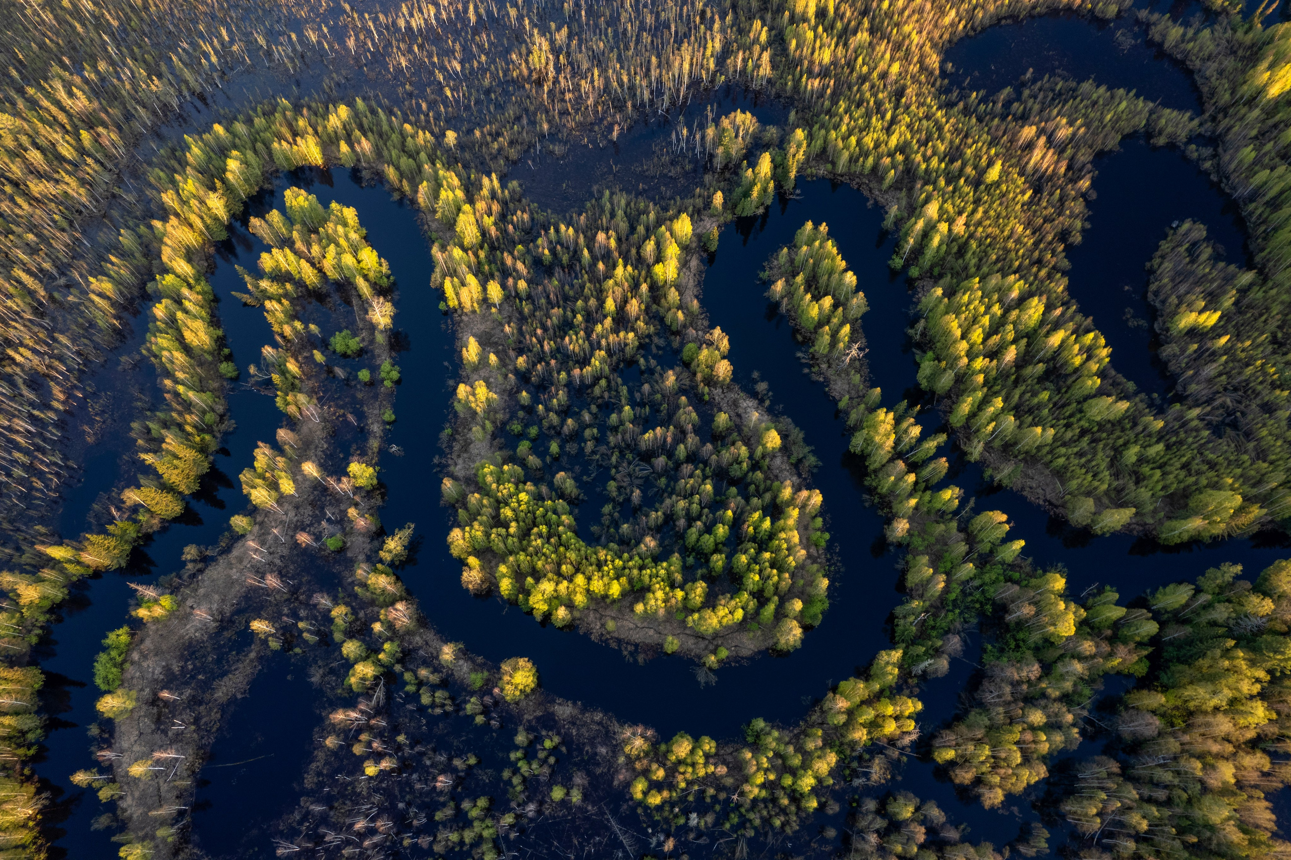 ПРИРОДА С ДРОНА. Фотограф Татьяна Борисова