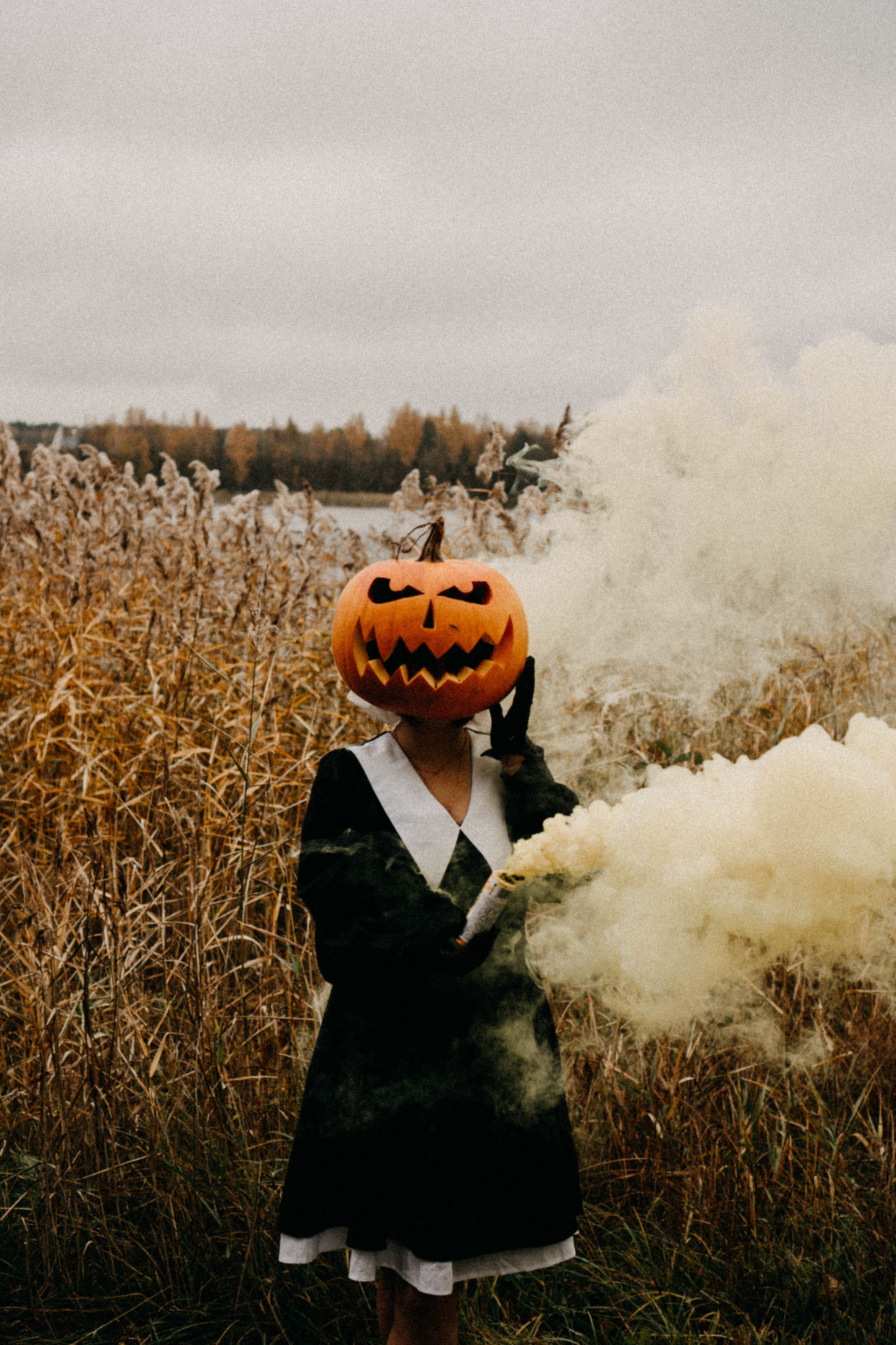 Осеняя. Профессиональный фотограф, Санкт-Петербург — Виктория Богомолова