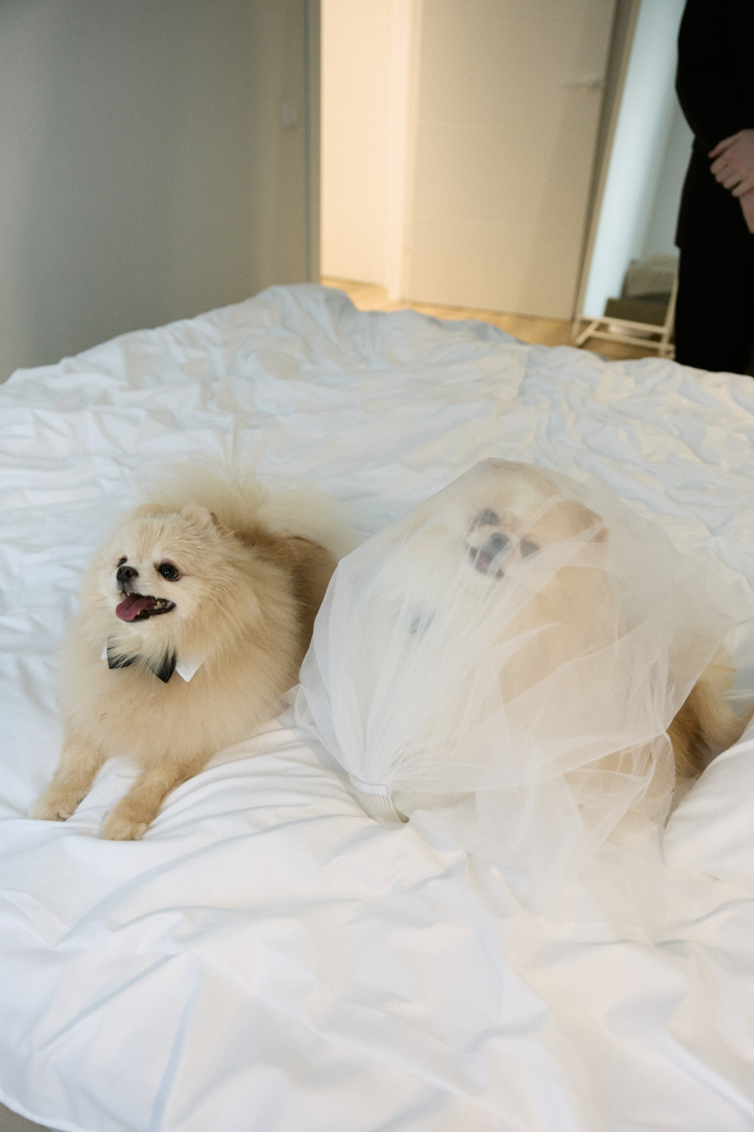 Александр + Дарья. Семейный и детский фотограф Юлия Шох