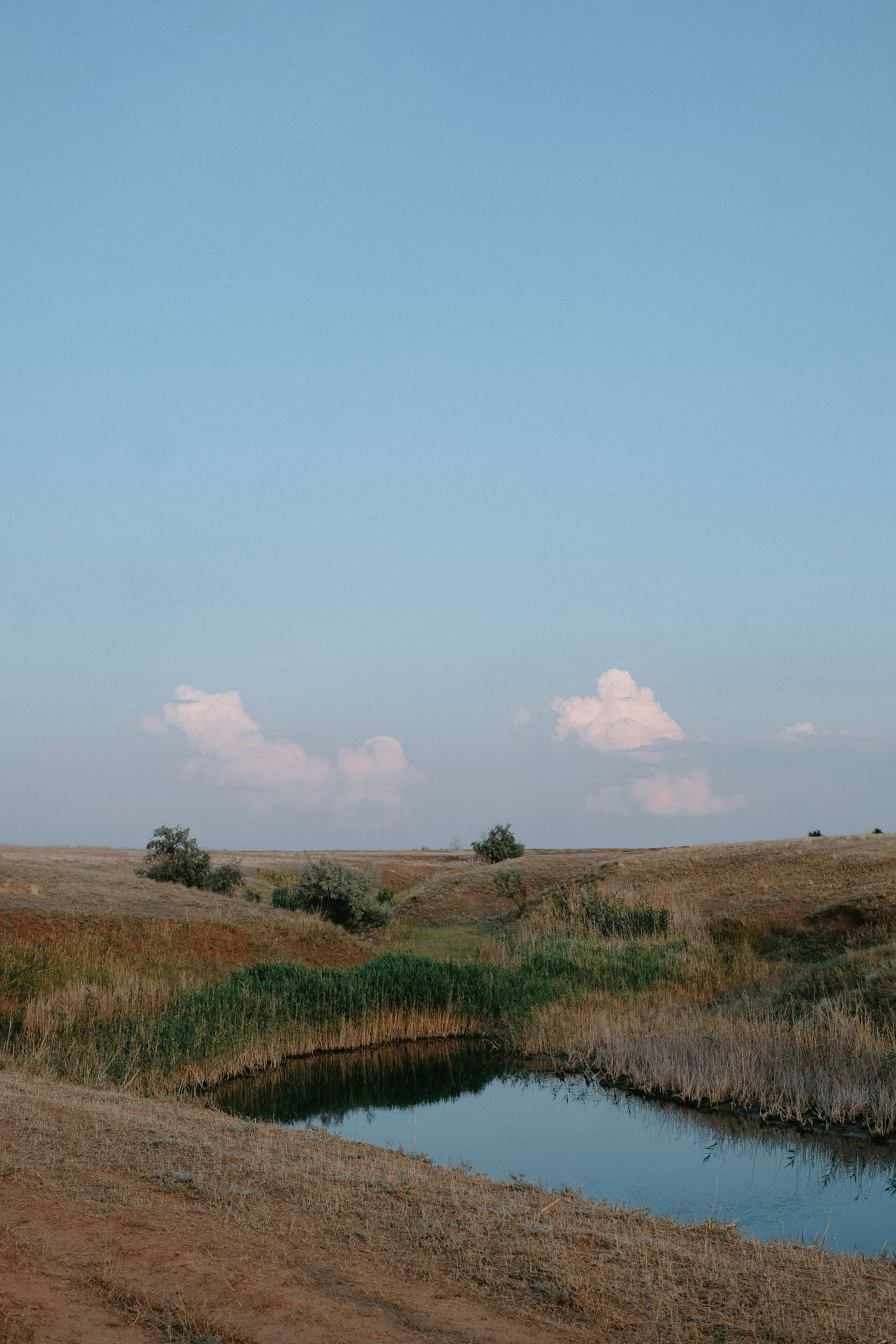 Сергей + Жанна. ФОТОГРАФ АННА КАЗАРЯН