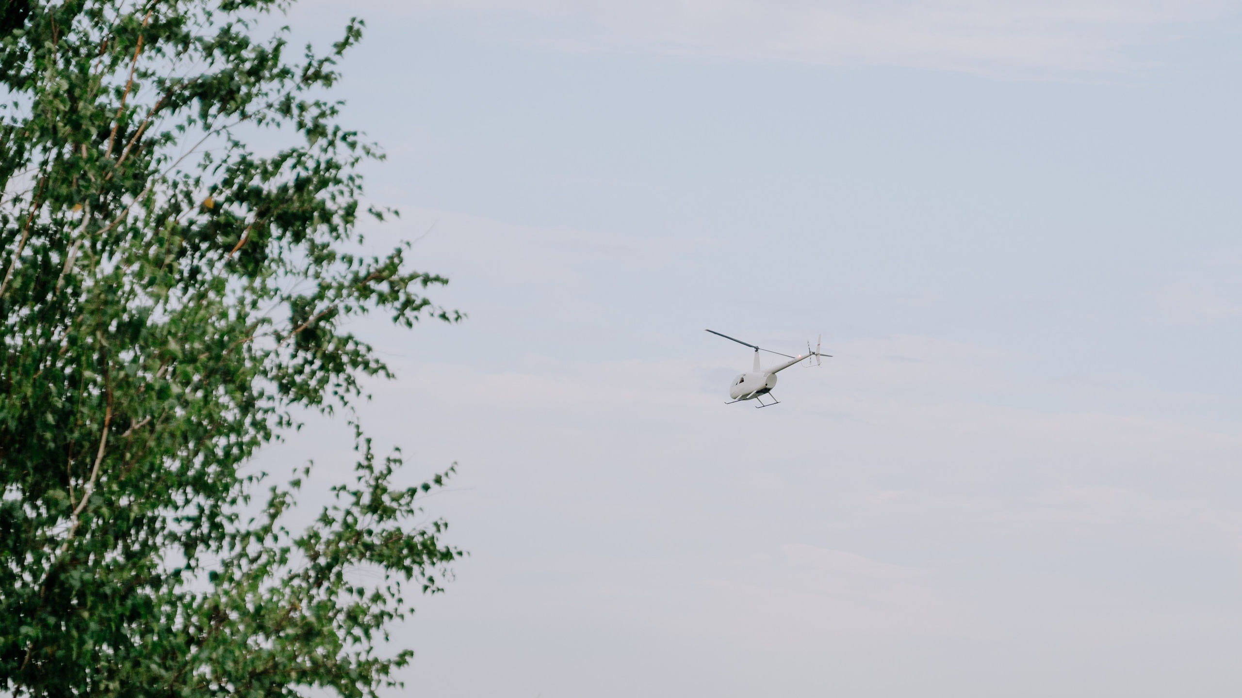 (Сэм+Валя)+155 гостей = ❤️ | 2024. Фотограф Вито Бурмасов | Москва