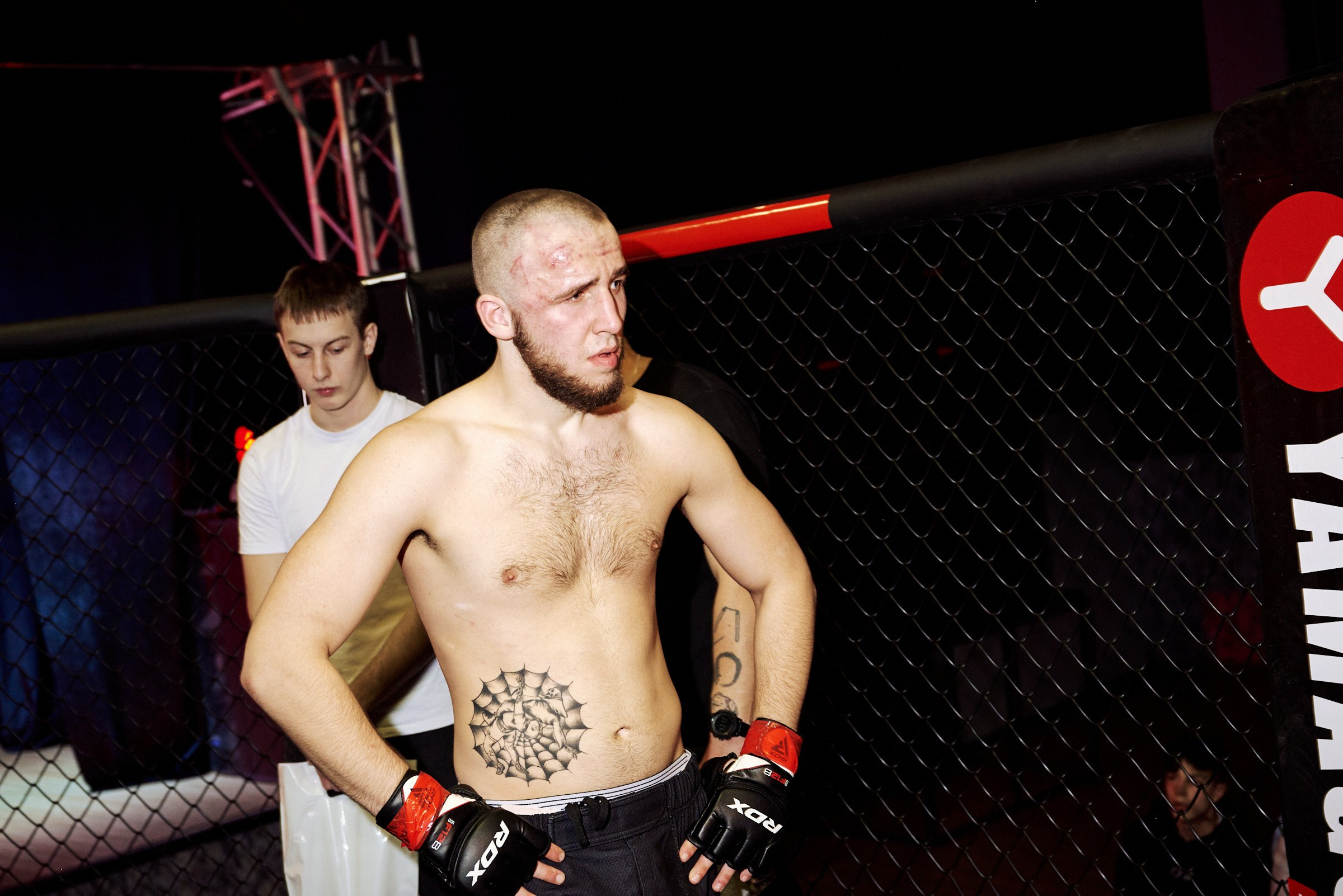 Бои. Маляревич Дмитрий свадебный фотограф