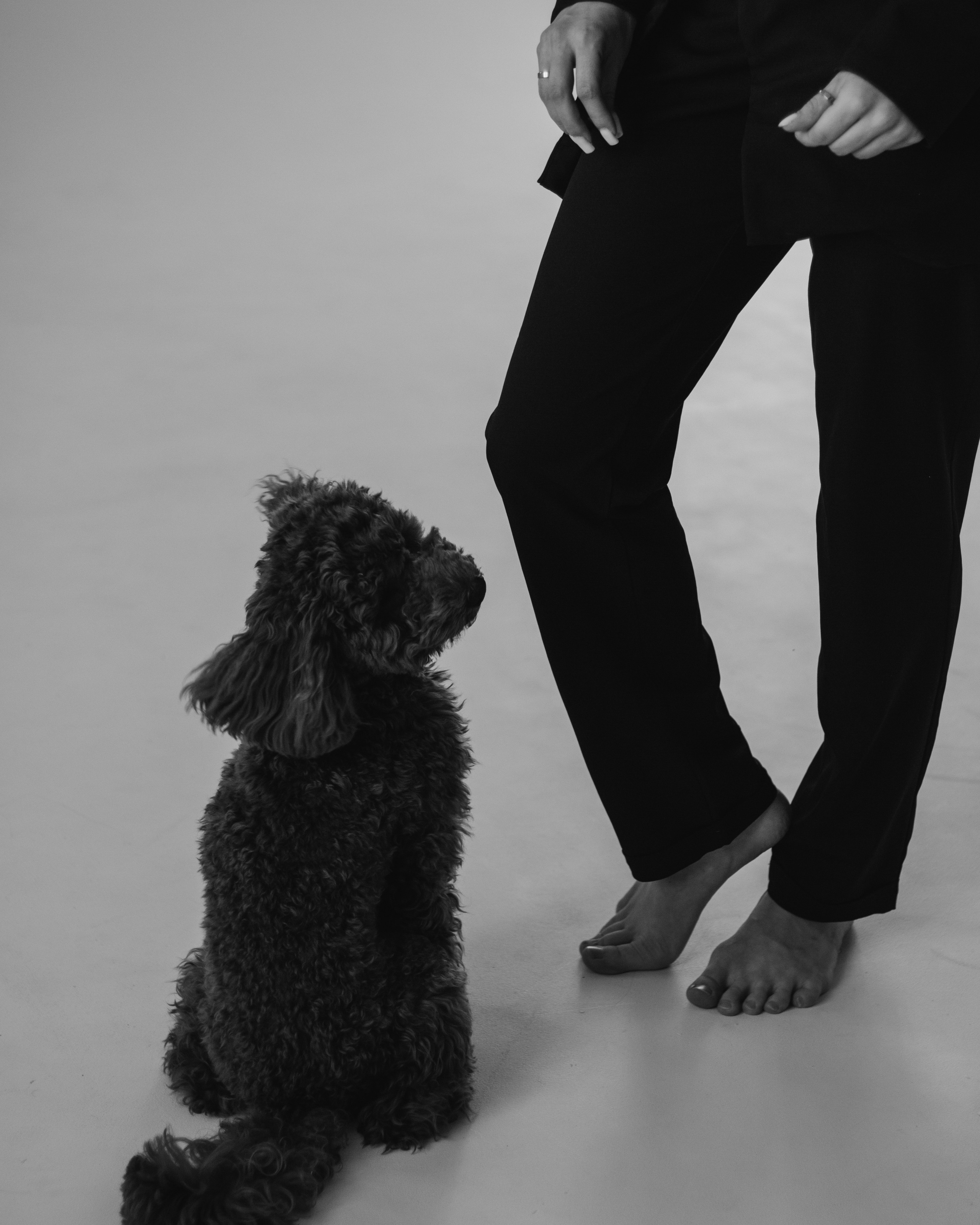 Пушистая история Гречки. Семейный фотограф в Нижнем Новгороде