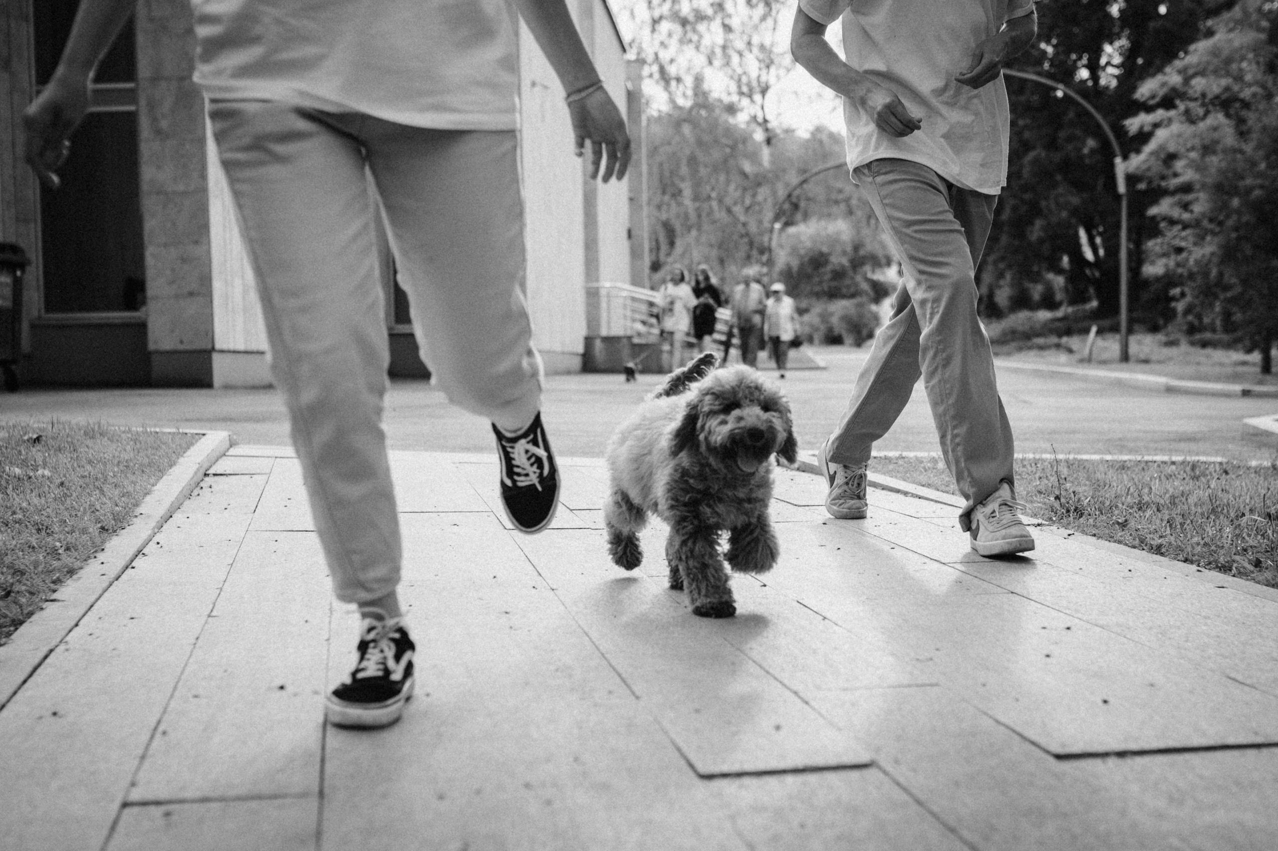 Илья, Катя и Пряник. Семейный фотограф МОСКВА/Королёв