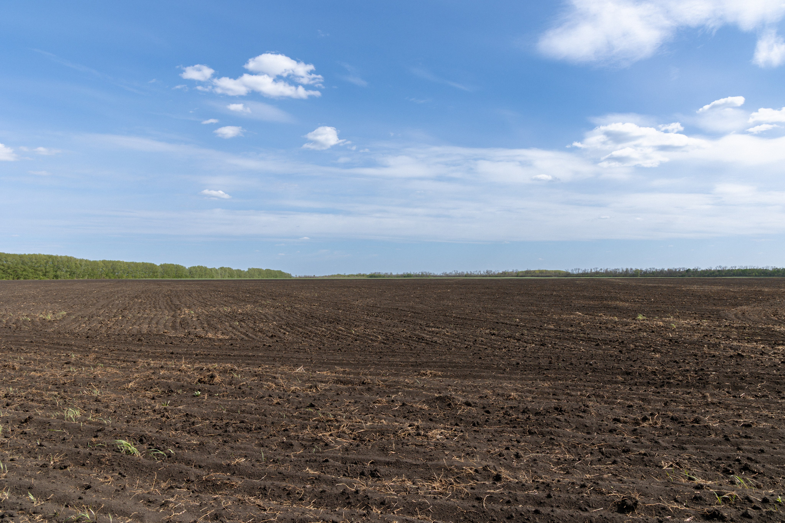 Земельный участок с объектами на нём. Владислав Волков | Фотография и видеосъемка в Воронеже