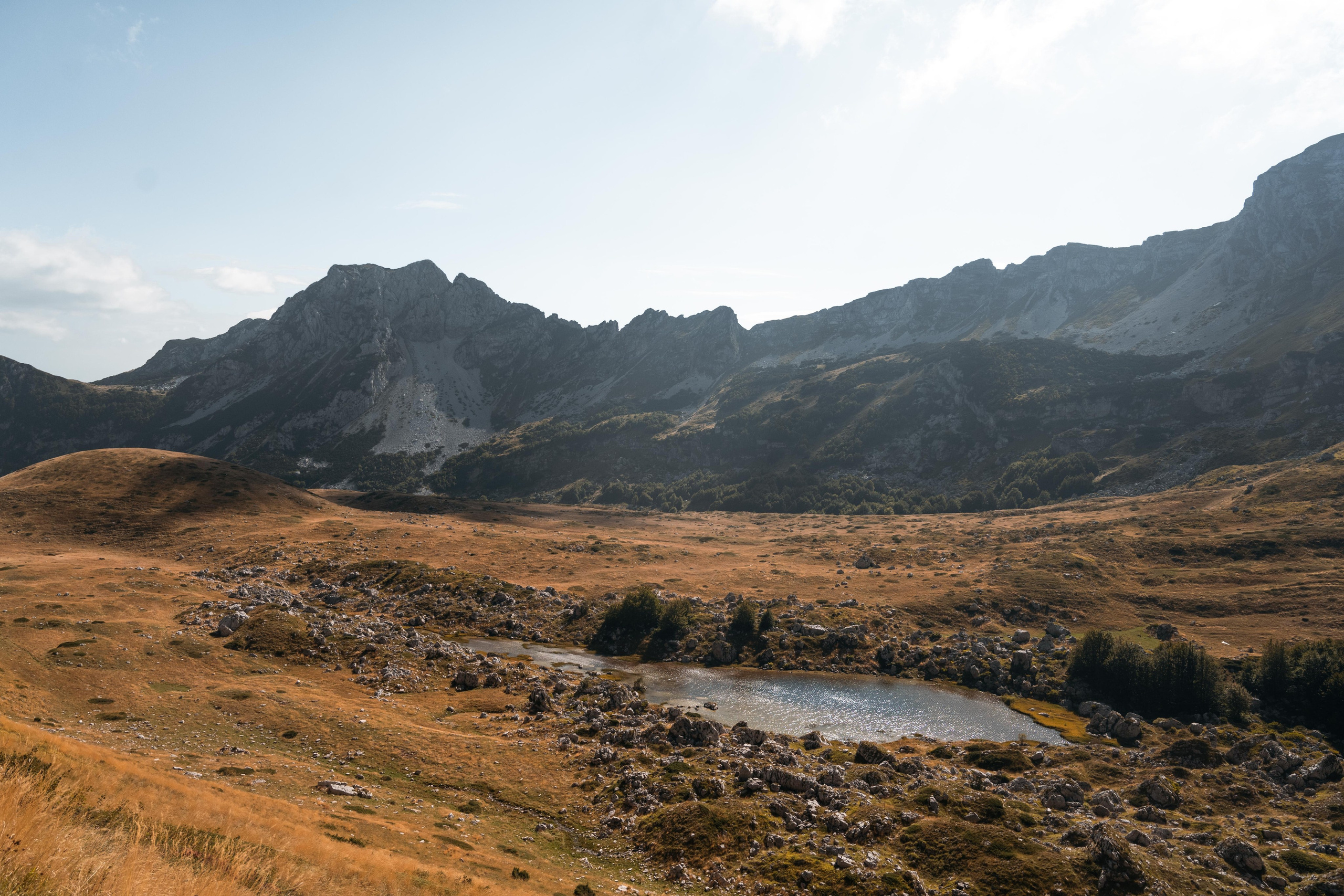ПРУТАЖ. ЧЕРНОГОРИЯ. Фотограф в Белграде Чугреева Елена