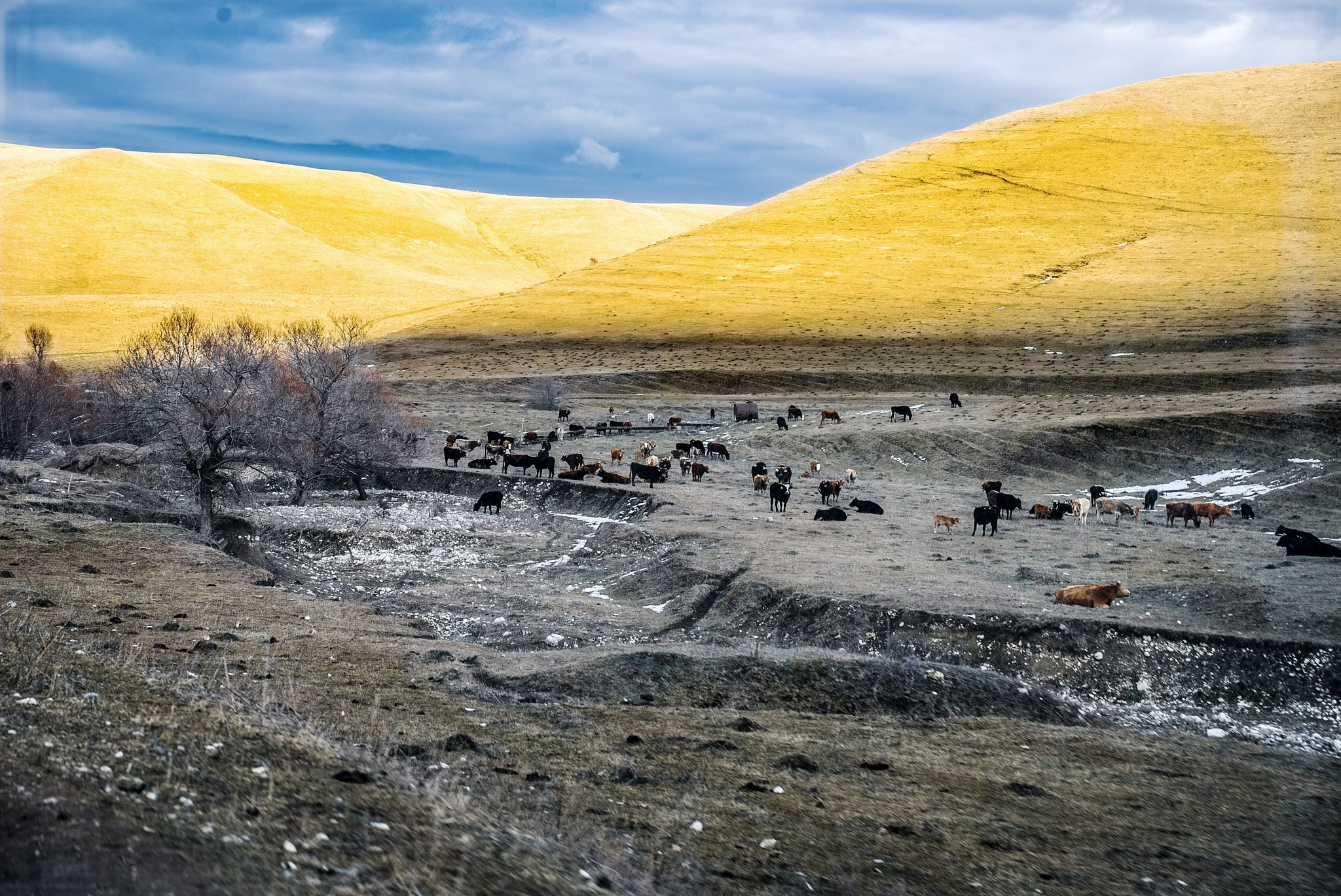 Путешествие на Кавказ в 2025 году. Внедорожные путешествия — OFFROADTRIP