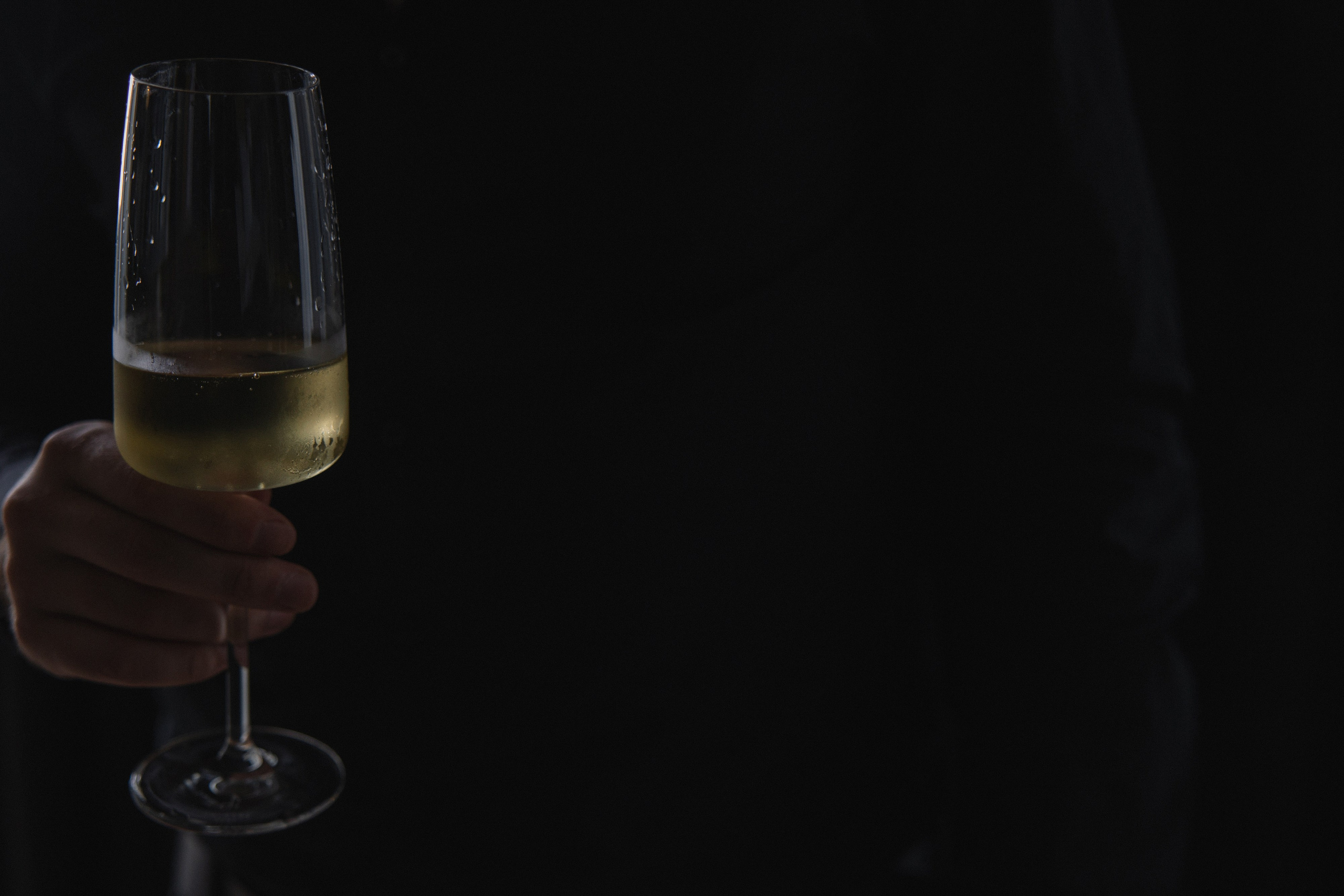 E&N. Свадебный фотограф СПБ Михаил Песиков