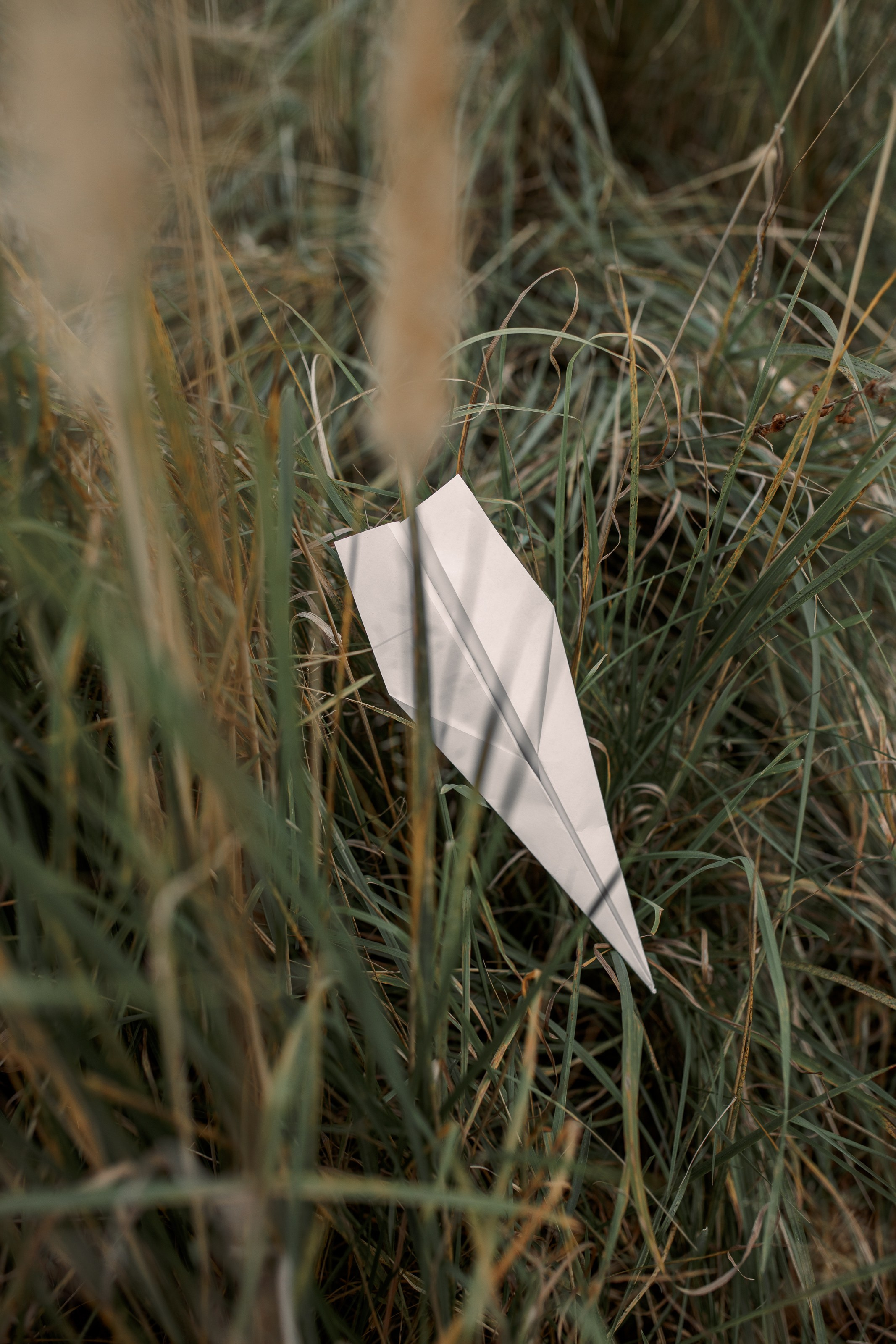 Алексей. Портретный и семейный фотограф в Москве Ирина Голубчина