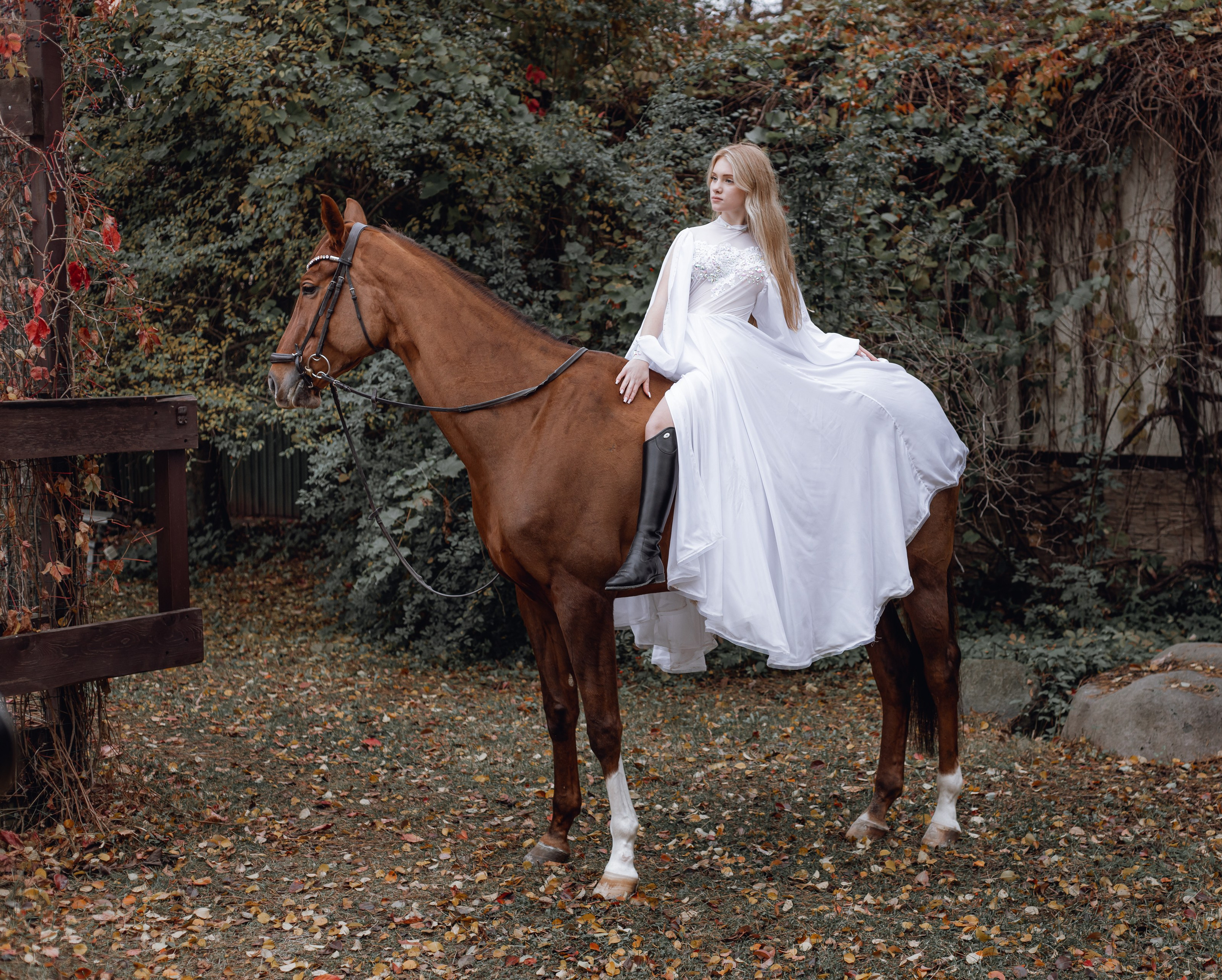 Диана конный клуб «Белая дача». Портретный и семейный фотограф в Москве Ирина Голубчина