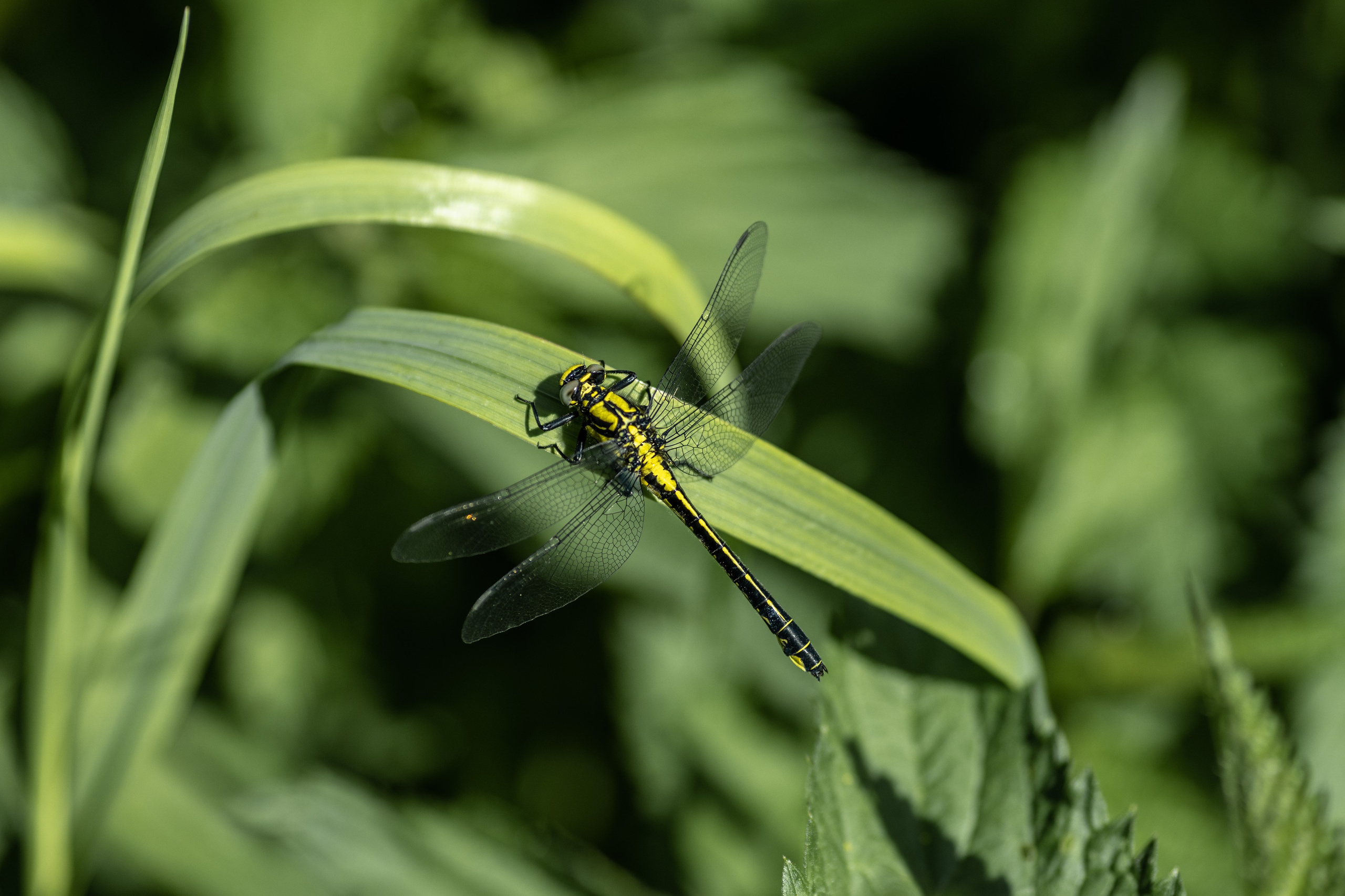 Природные пейзажи. Наталия Клевинскас портретный фотограф в Костроме