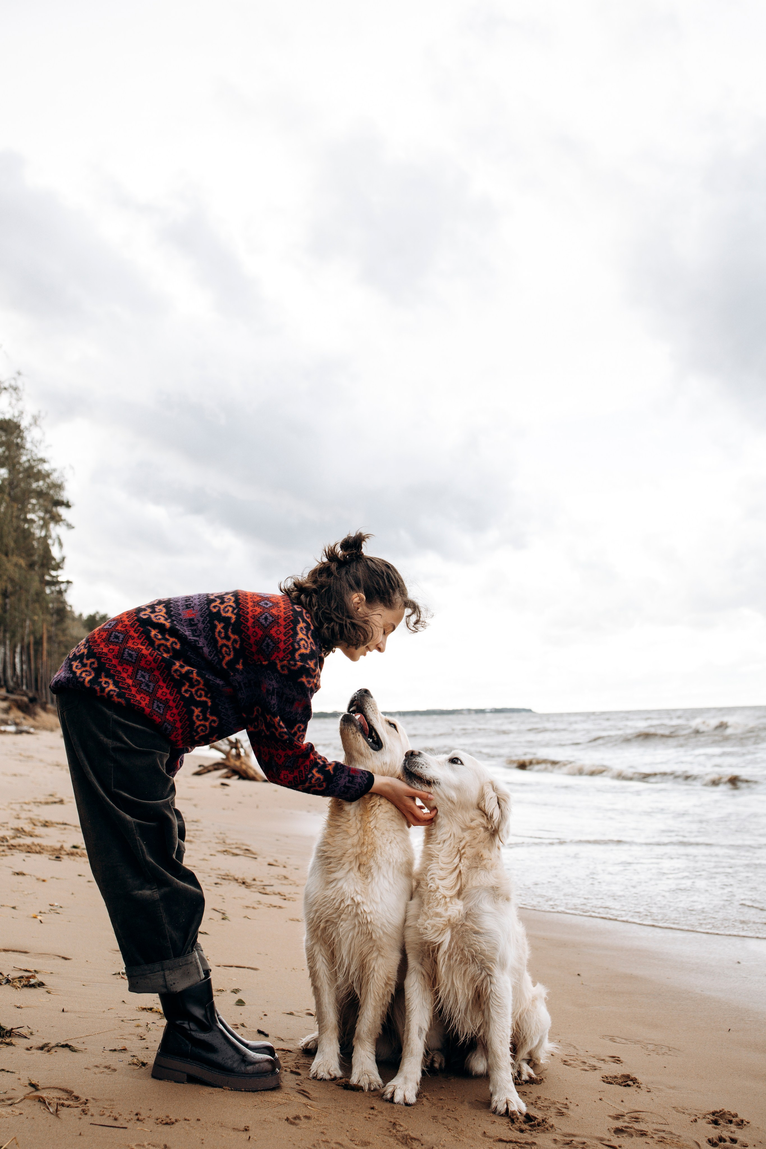Прогулка Насти с Арчи и Арагоном. Фотограф-анималист в Санкт-Петеребурге Титова Алиса