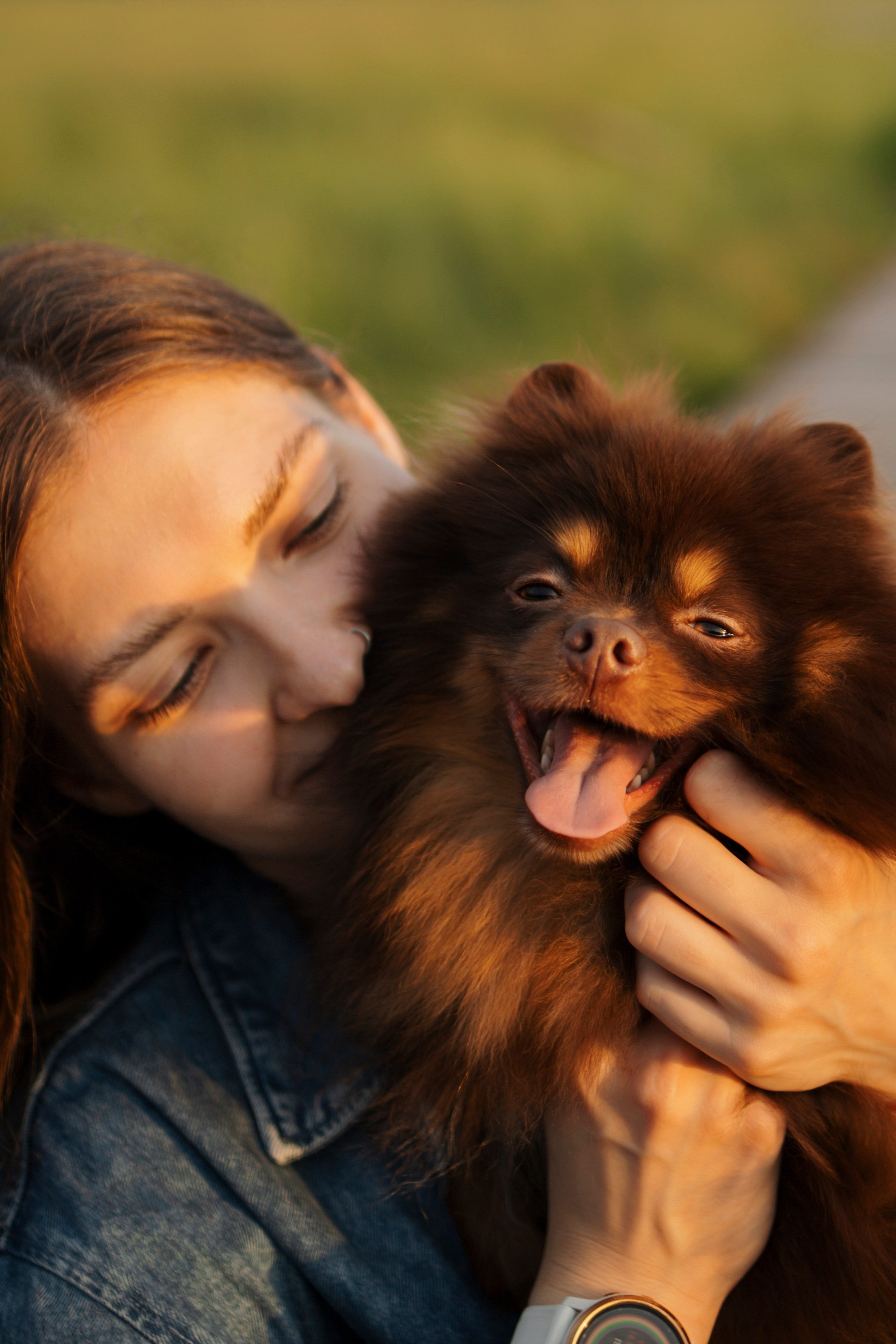 Сапфир и его семья. Фотограф-анималист в Санкт-Петеребурге Титова Алиса