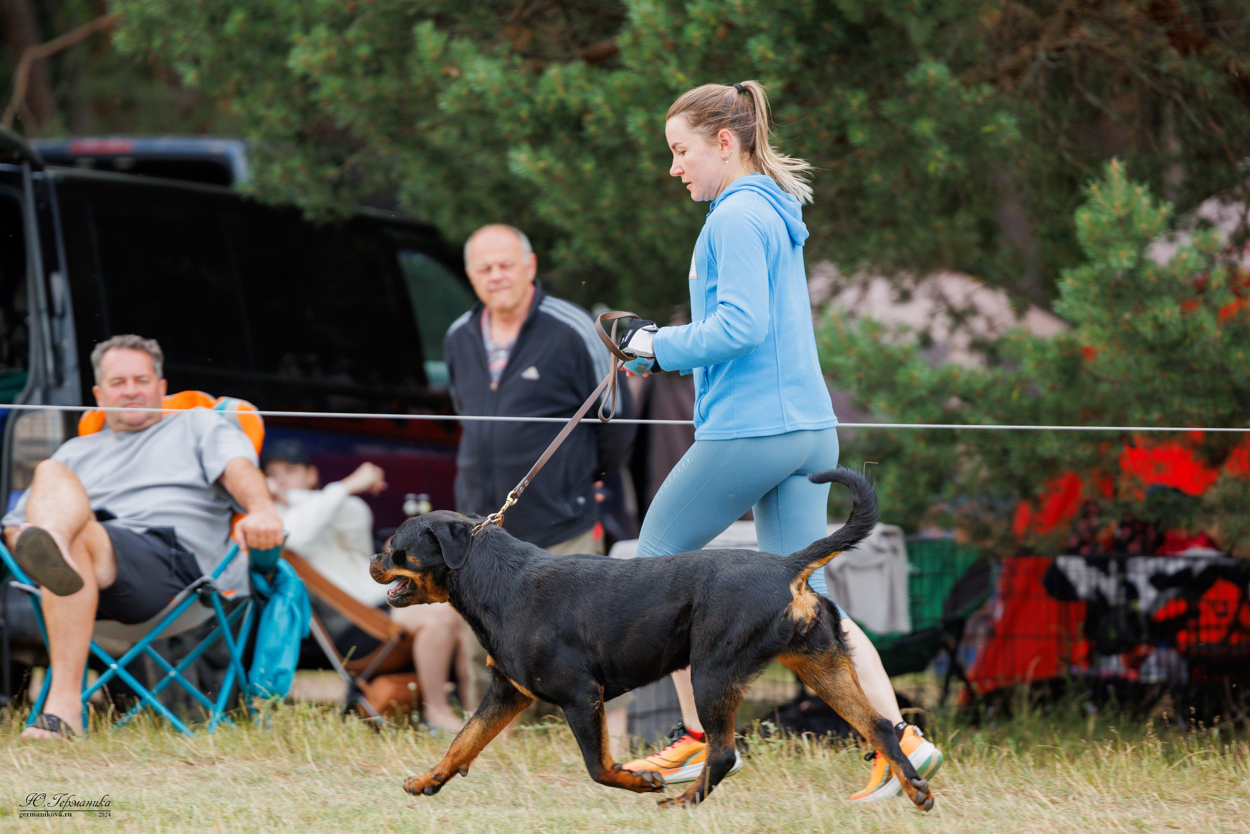 ПК и КЧК ротвейлеры Тверь 6-7.07.2024. Фотограф-анималист Юлия Германика