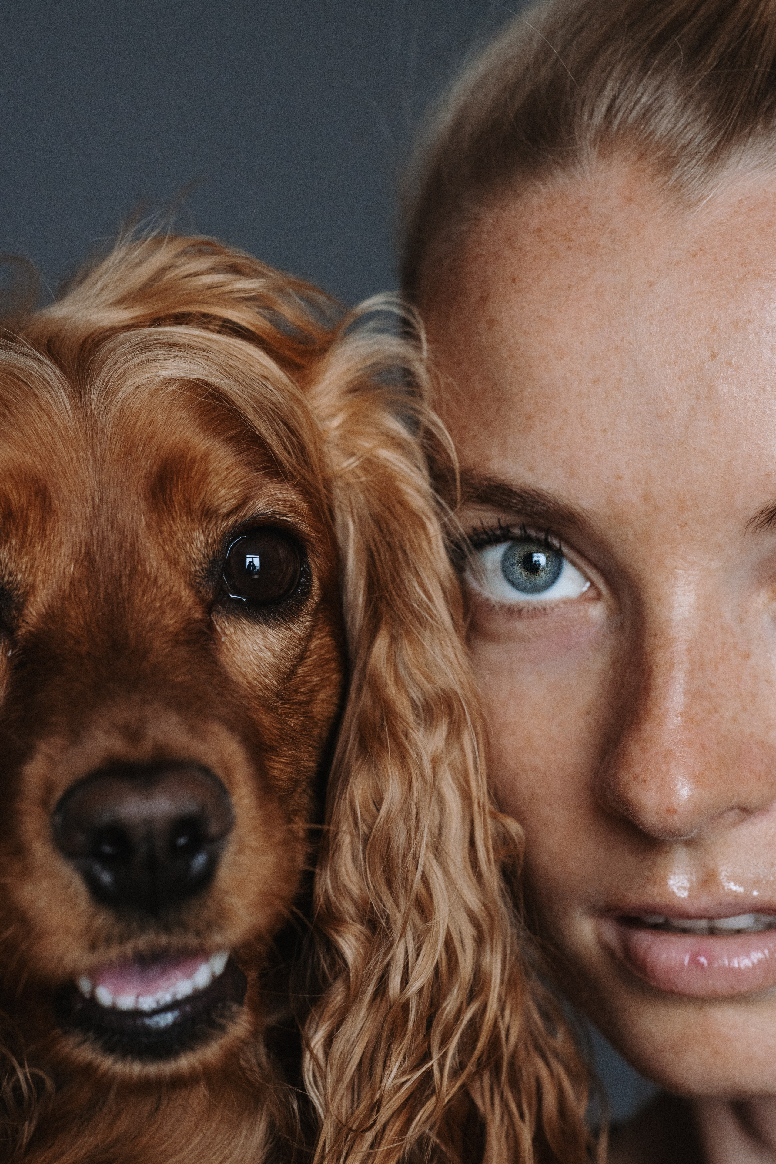 Animal Friendly. Фотограф на Юге России