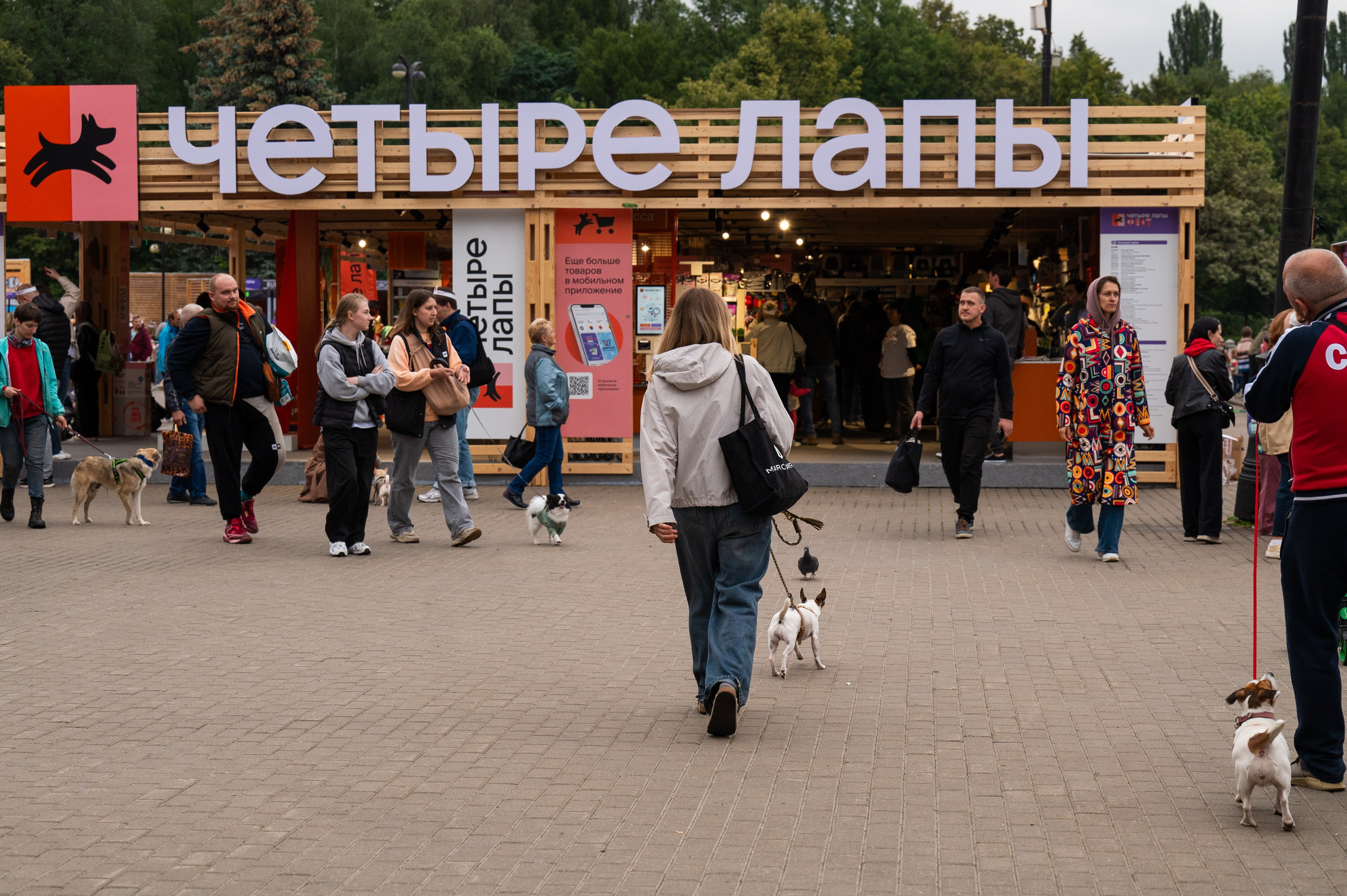 4lapy fest 2025. Photographer in Moscow Anna Chistiakova