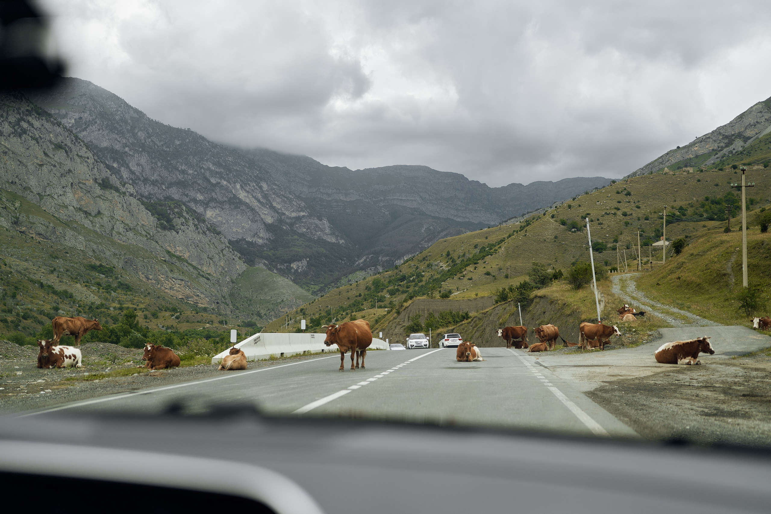 Блог. Фотограф и видеограф Елена Хмелевская