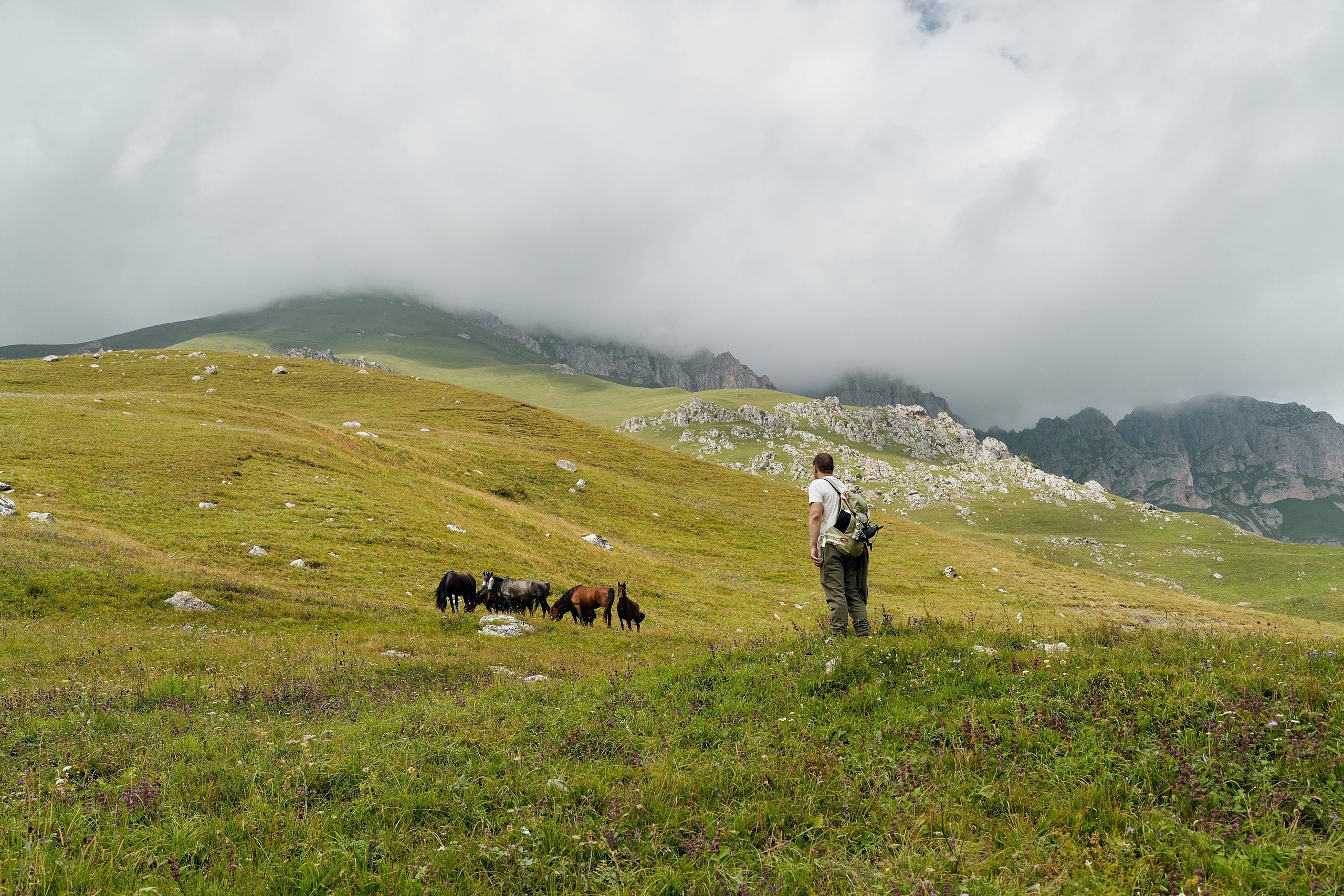 Блог. Фотограф и видеограф Елена Хмелевская