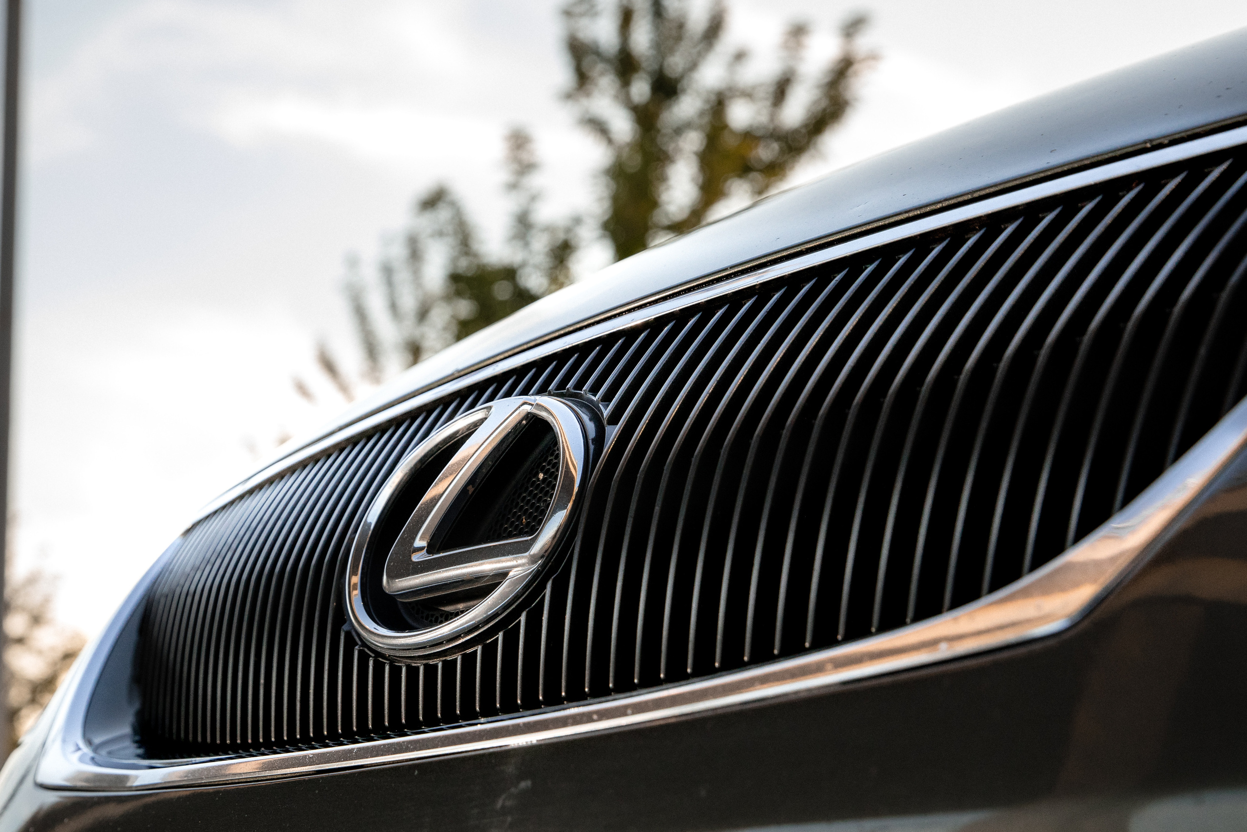 LEXUS GS 300. Свадебный фотограф в Алматы Николай Киреев