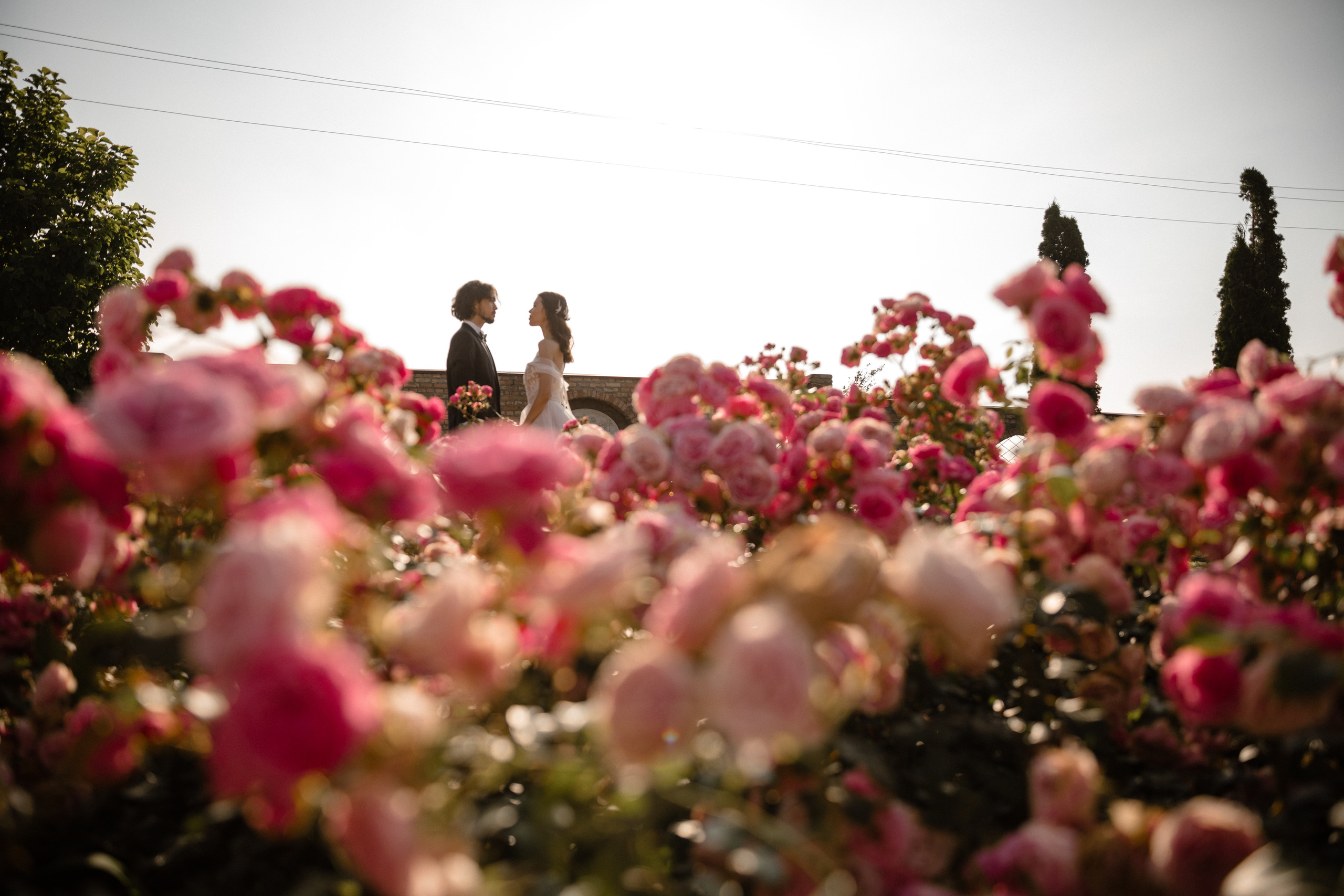 Анонс со свадьбы Руслан и Амина. Свадебный фотограф в Алматы Николай Киреев