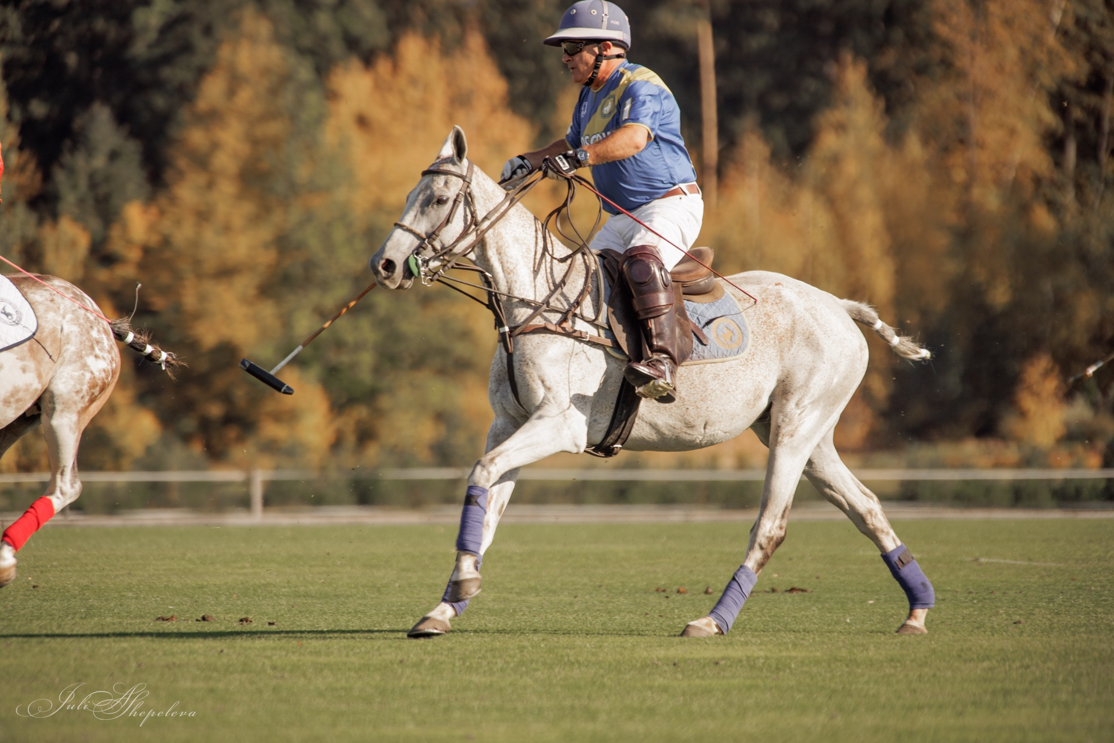 Осенний кубок по конному поло. Детская Конная фотография в Москве Юлия Шепелева