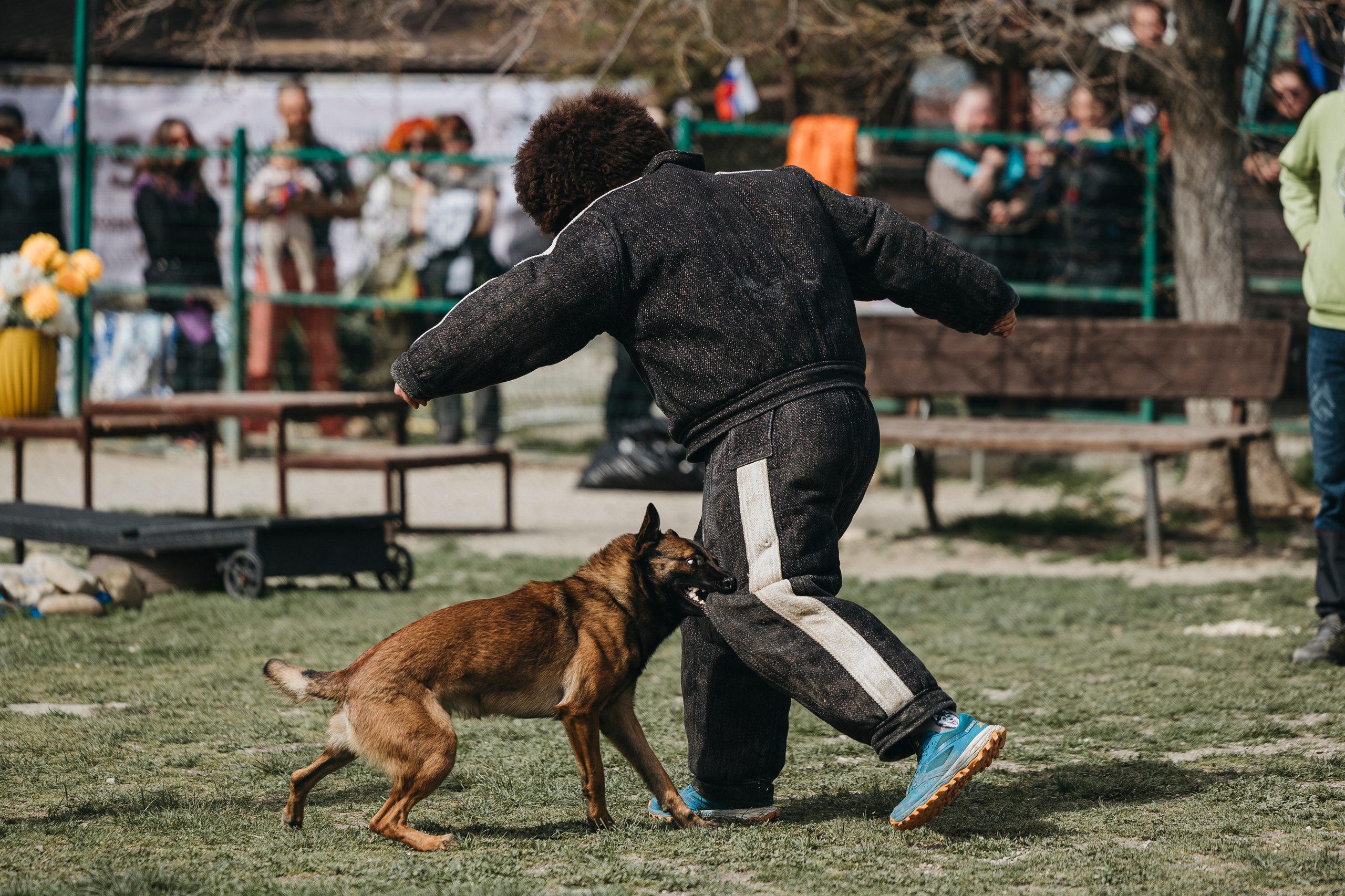 Геленджик Мондьоринг. Фотограф-анималист Анна Маринич