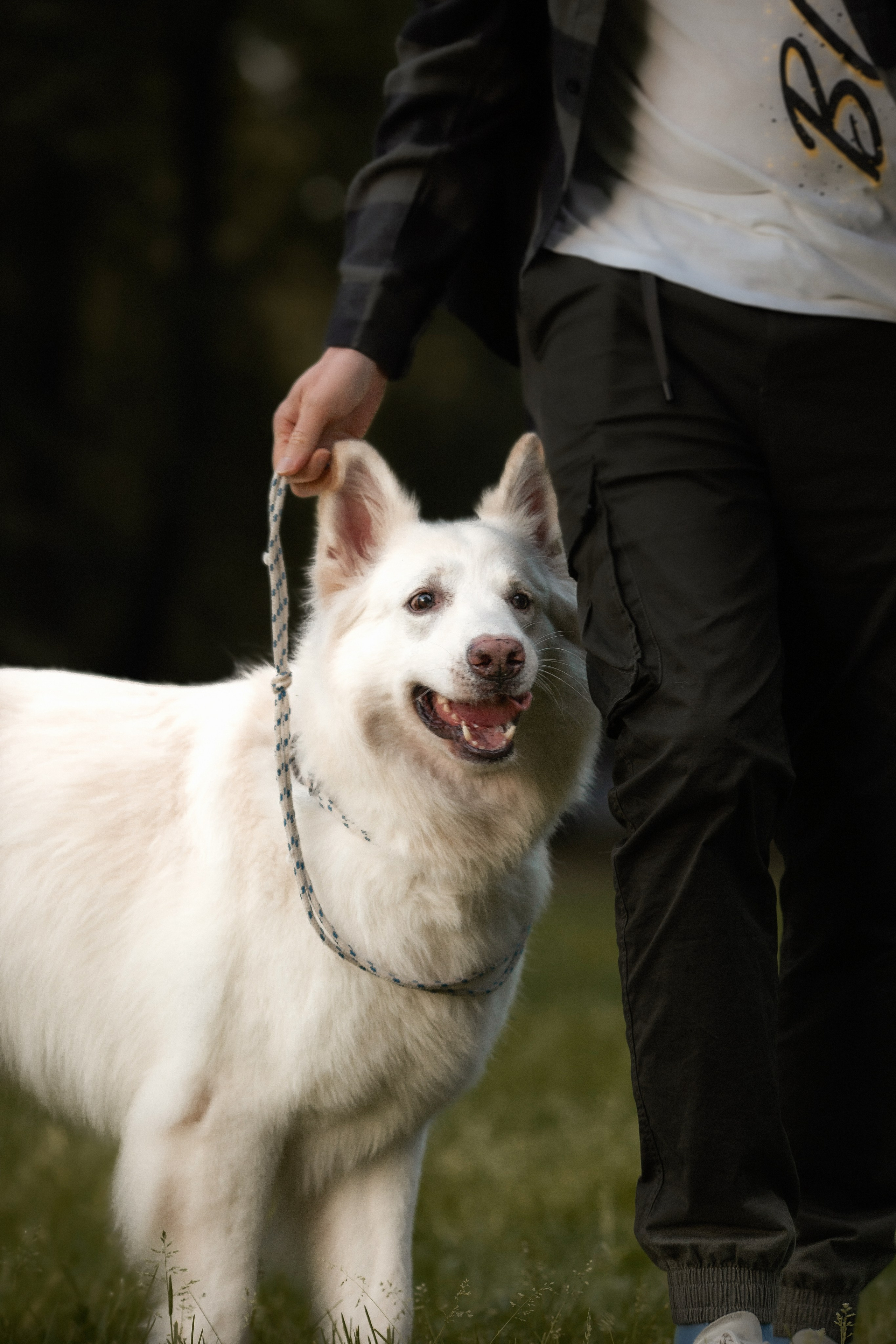 Света, Дима и Басс. Фотограф Анималист в Перми Анастасия Остерман