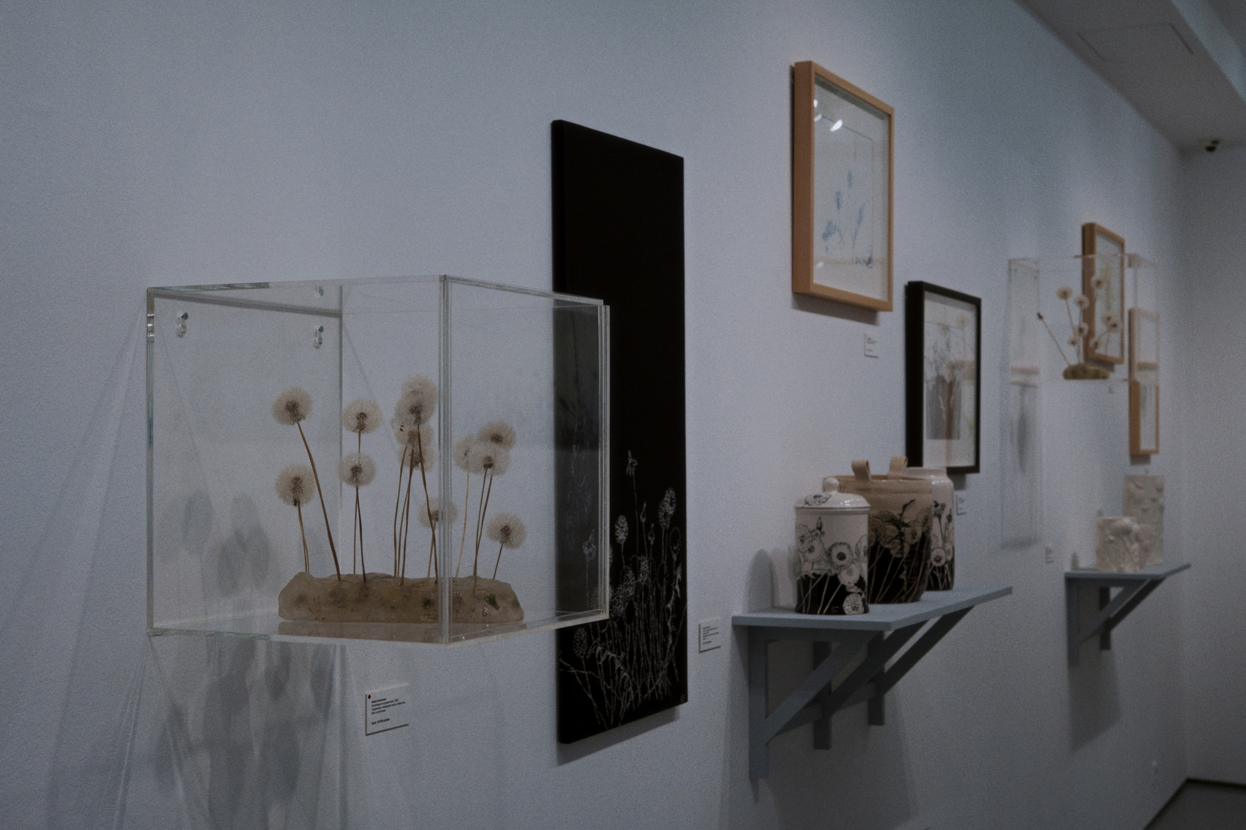 MAMM / Moscow, Russia SS25. Фотограф Юрин Евгений