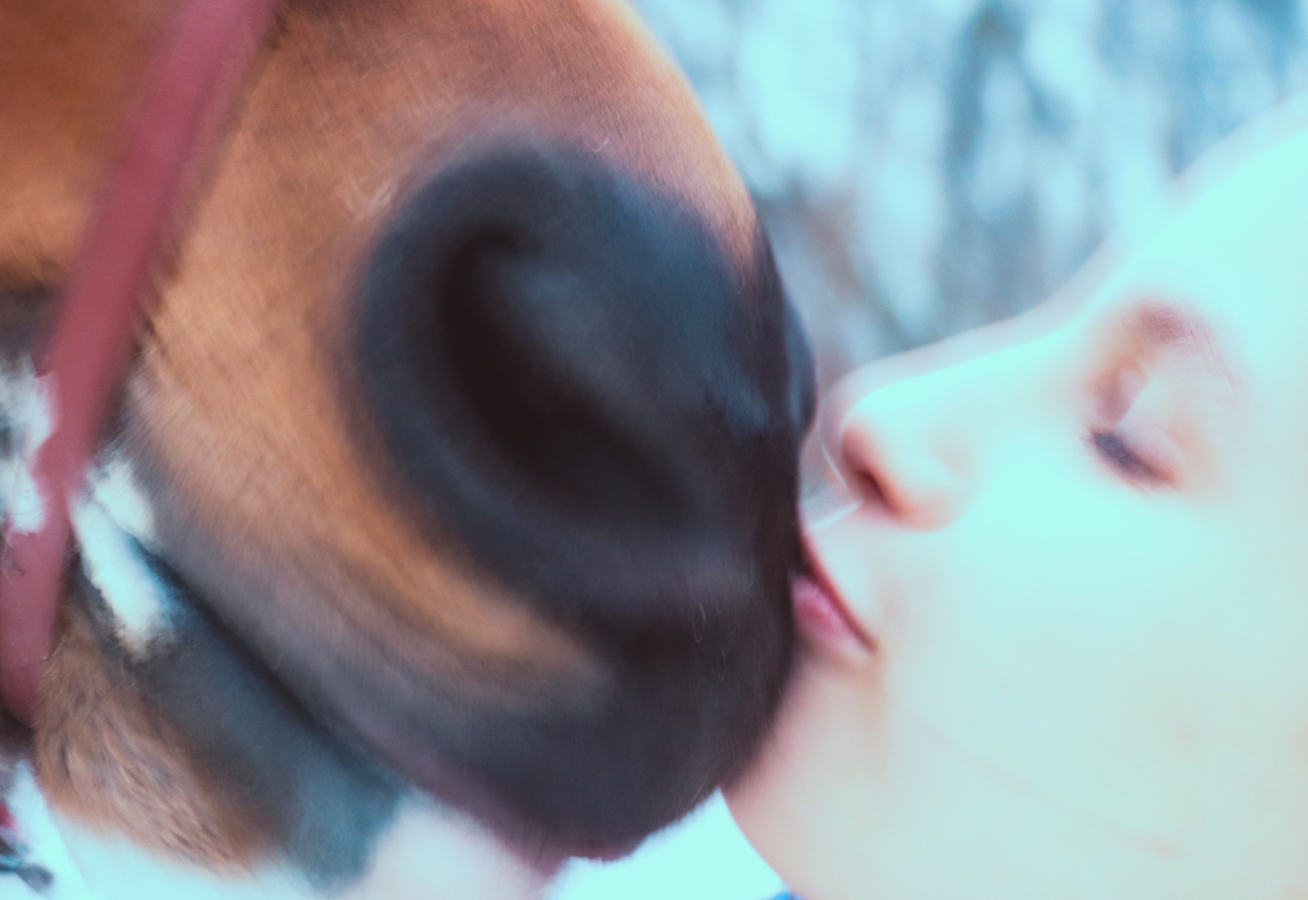 Девочка с конём. Фотограф репортажей и стритфотосессий в Москве Людмила Смирнова