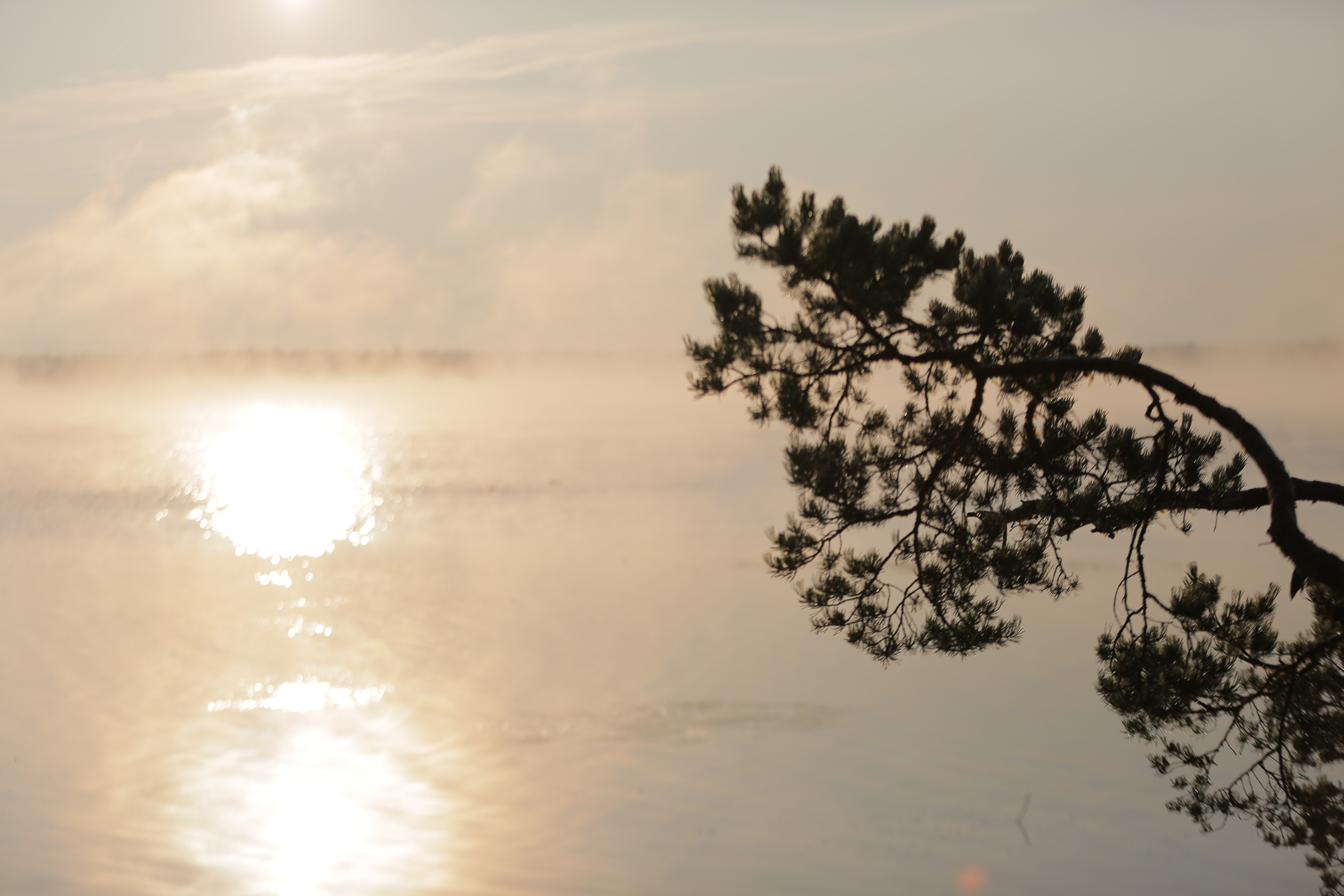 Фото Природы Забайкалья. Студия Максима Белослюдцева