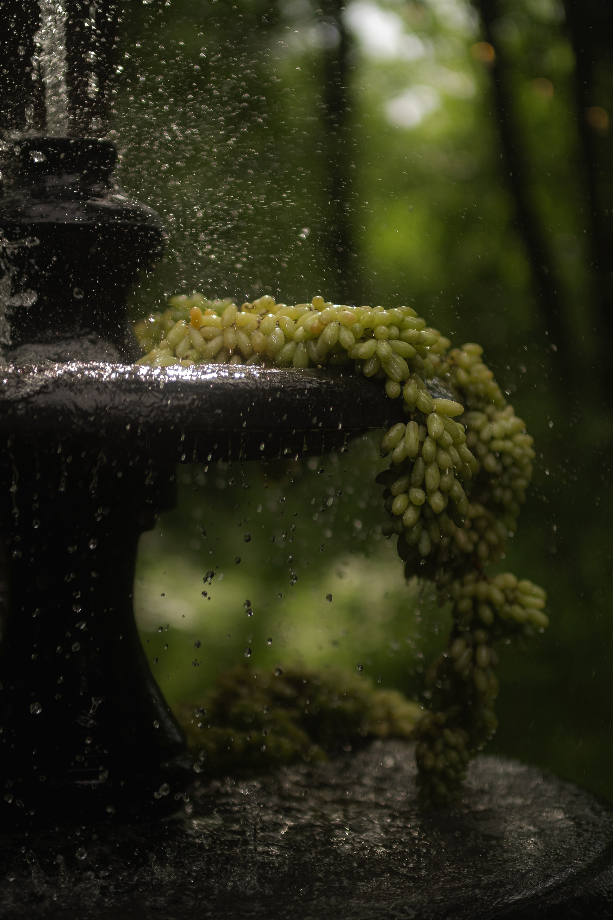 Love is all Around. Сентиментальная свадебная фотография