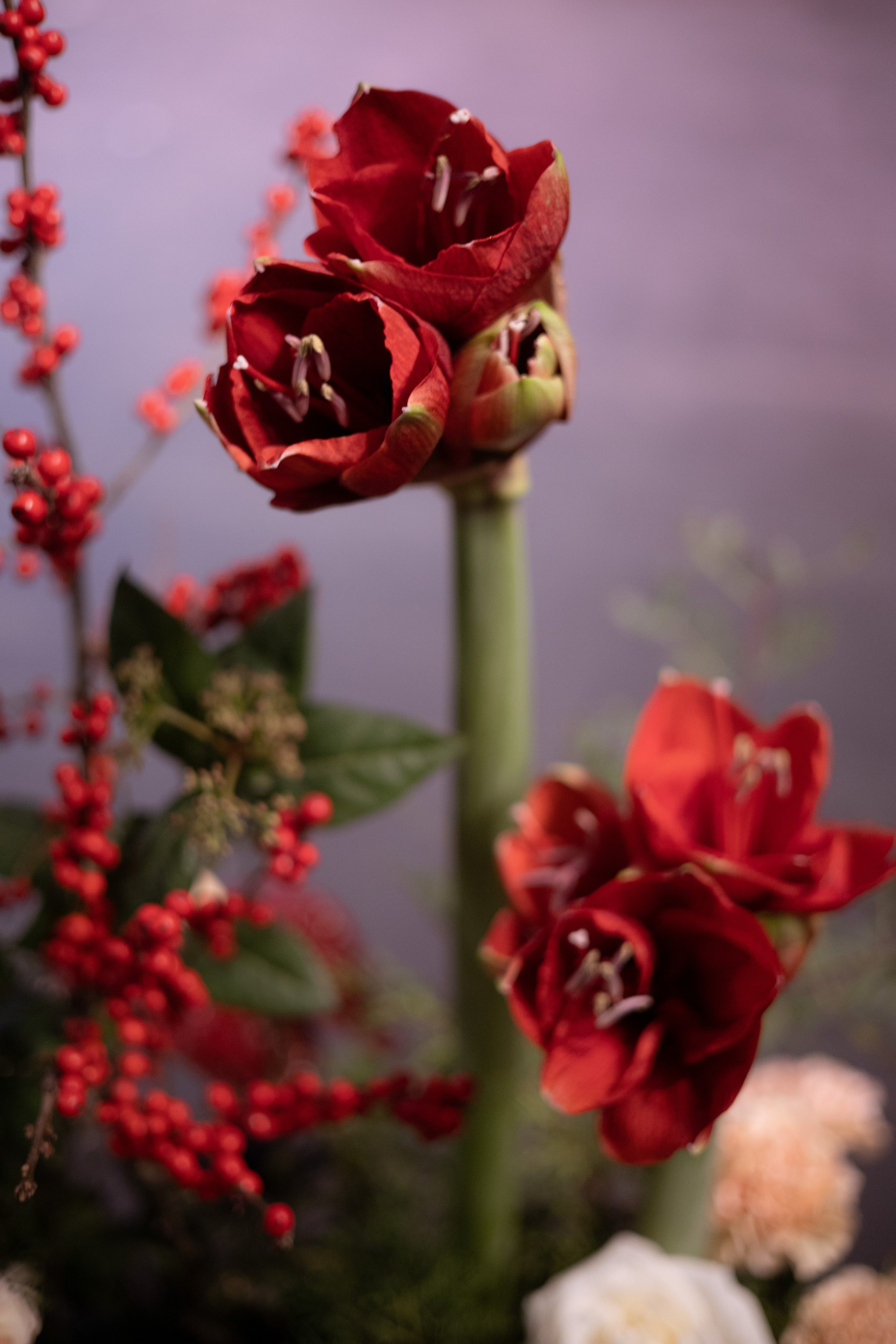 ММДМ. Оформление свадеб, декор свадеб Вера Маркова, Москва