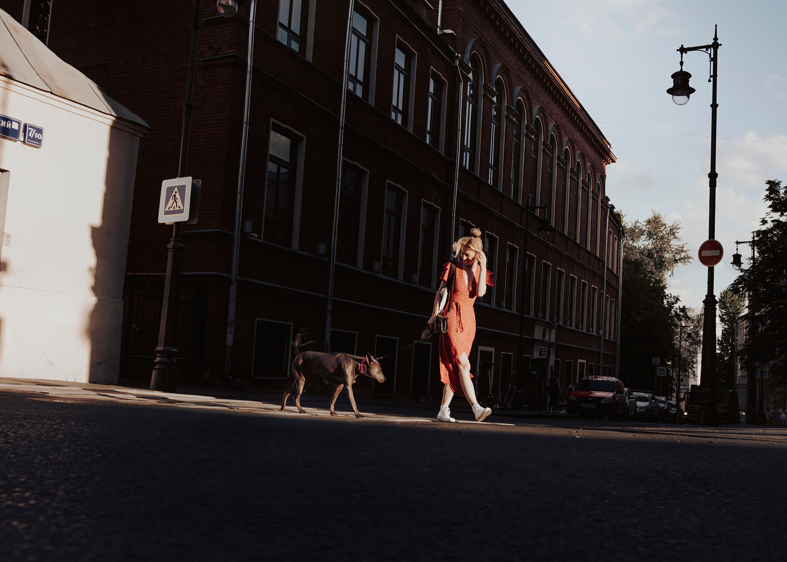 Шарма. Фотограф- анималист Александра Матвеева