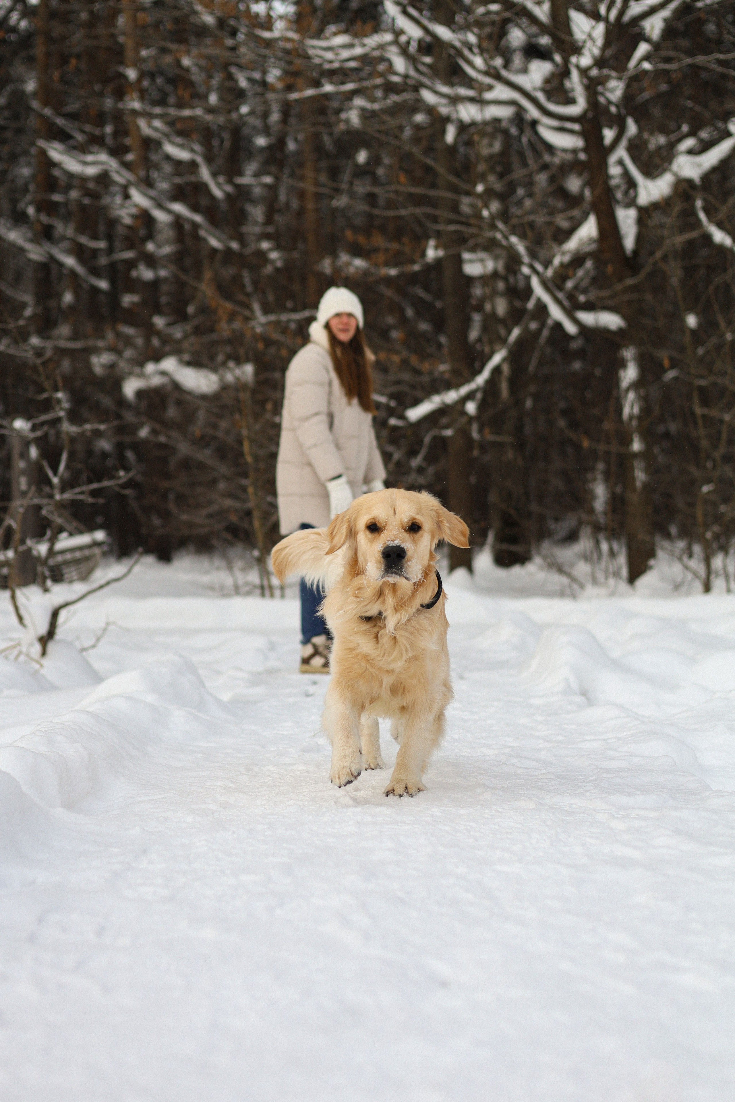 Стивен, Лена и Миша. Фотограф-анималист Ксения Шевцова|Москва