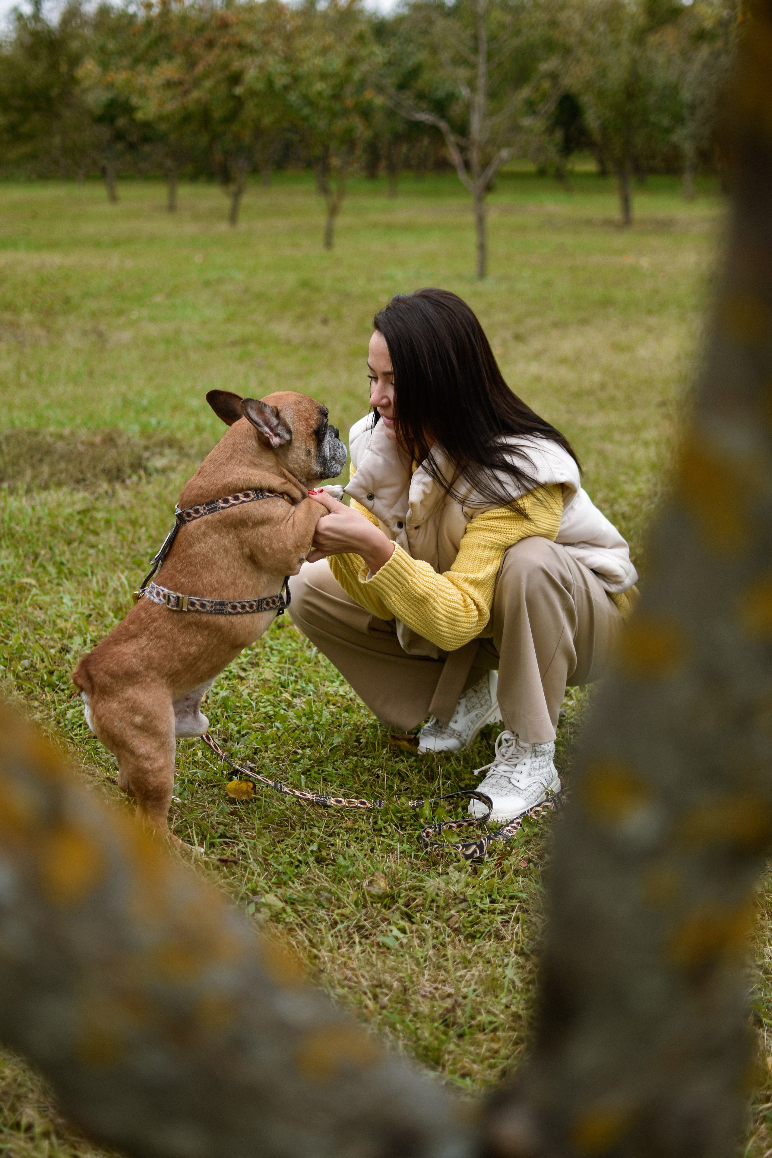 Форбс и Юля. Фотограф-анималист Ксения Шевцова|Москва