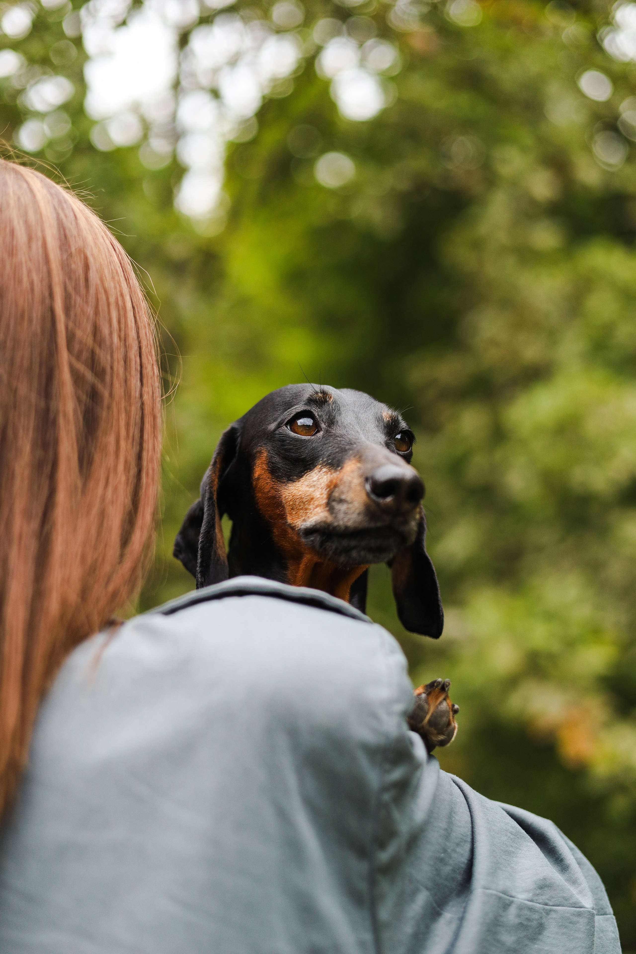 Моня и Оля. Фотограф-анималист Ксения Шевцова|Москва