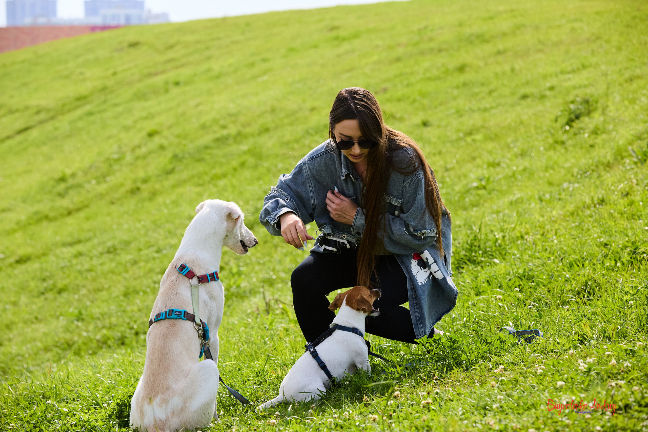 Проект фотопрогулка с хвостиком. Buyvolenko Andrey