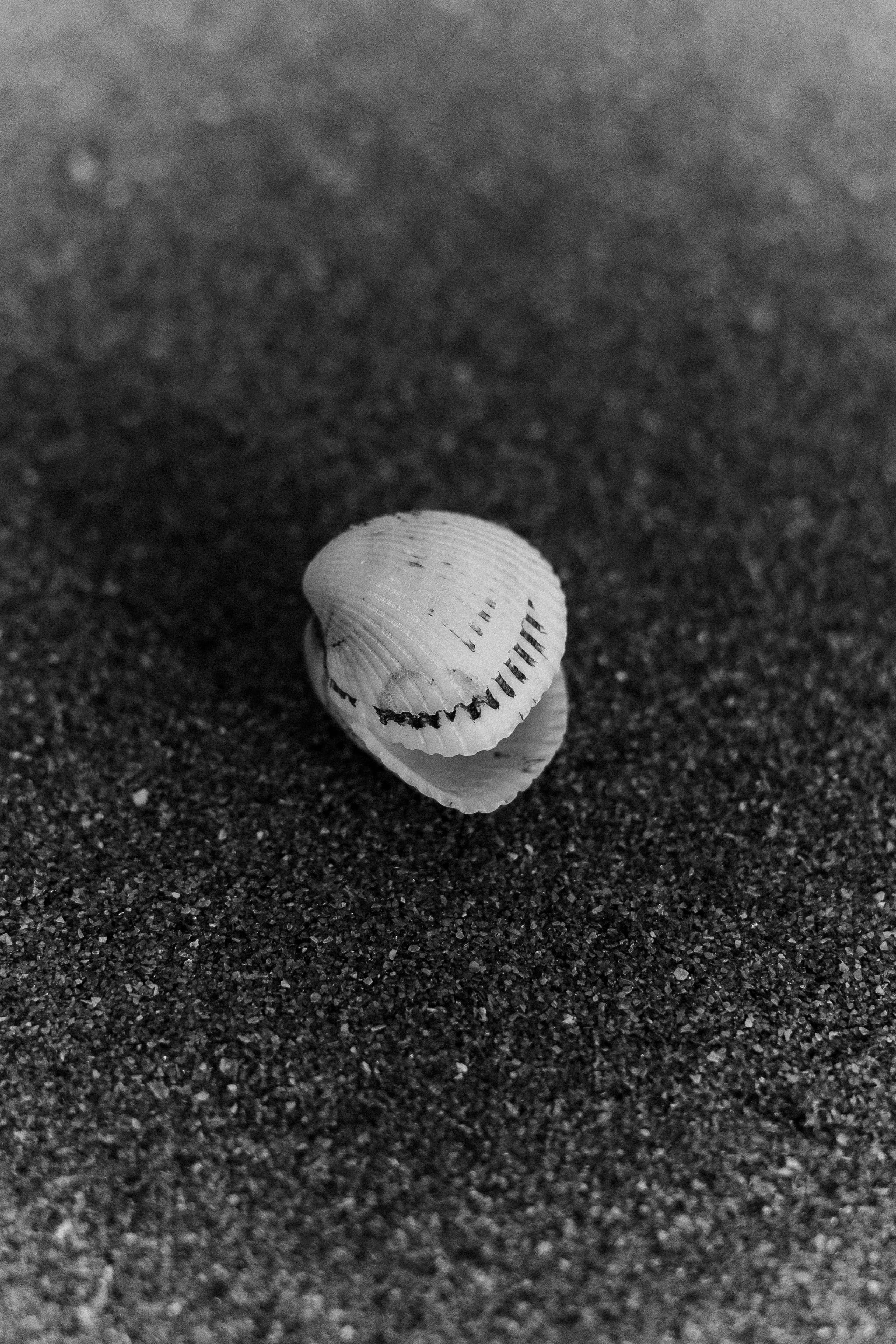 АА. Семейный и свадебный фотограф в Краснодаре Елизавета Замаева