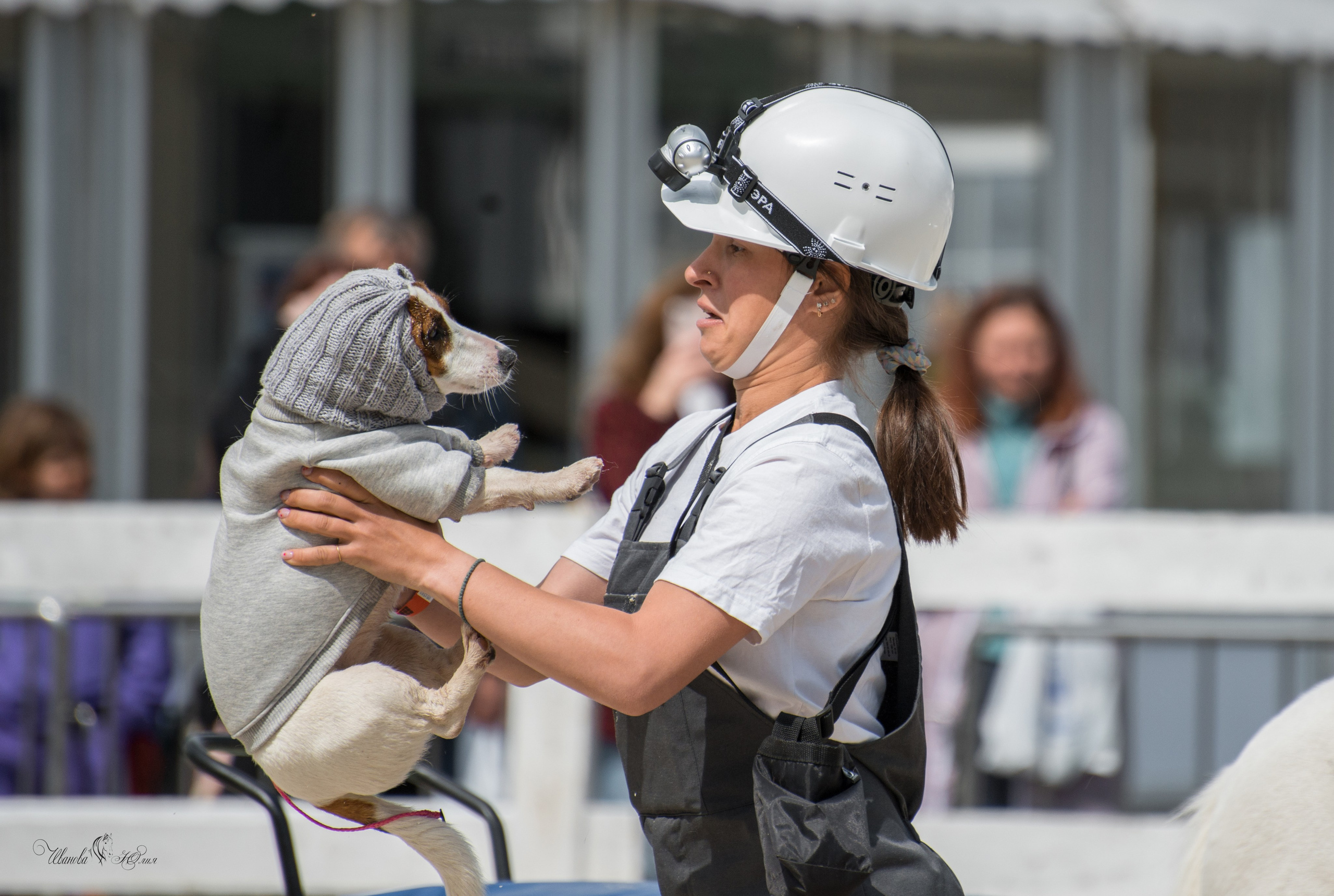 Эквирос, Москва. Конный фотограф в Саратове Юлия Иванова