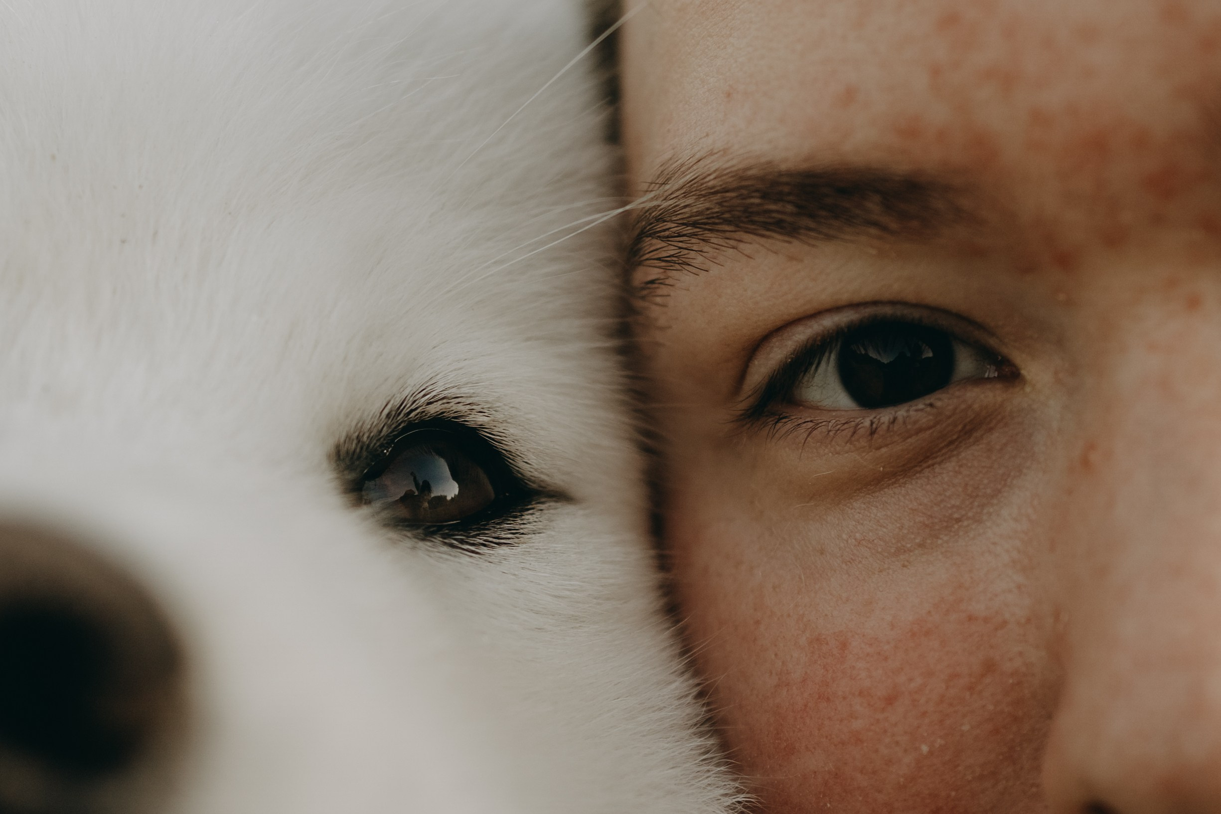 Танго и его семья. Фотограф — Анималист | Санкт-Петербург