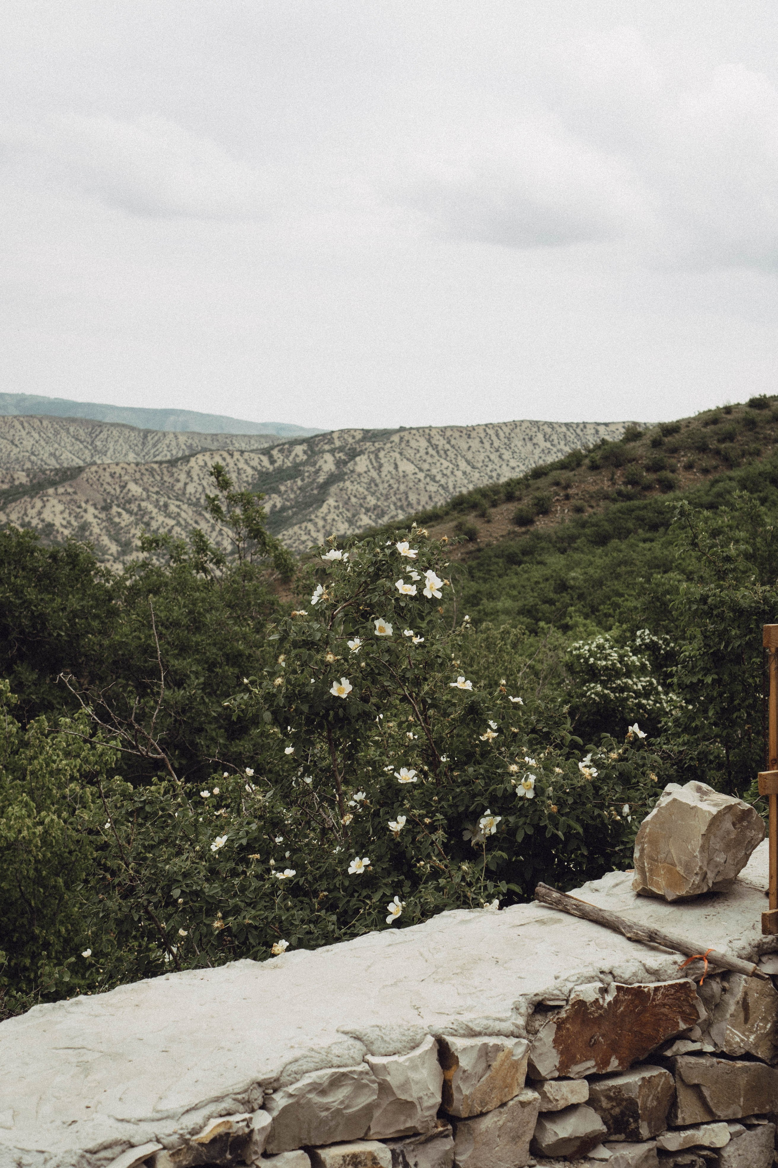 Кавказ. Профессиональный фотограф, Санкт-Петербург — Виктория Богомолова