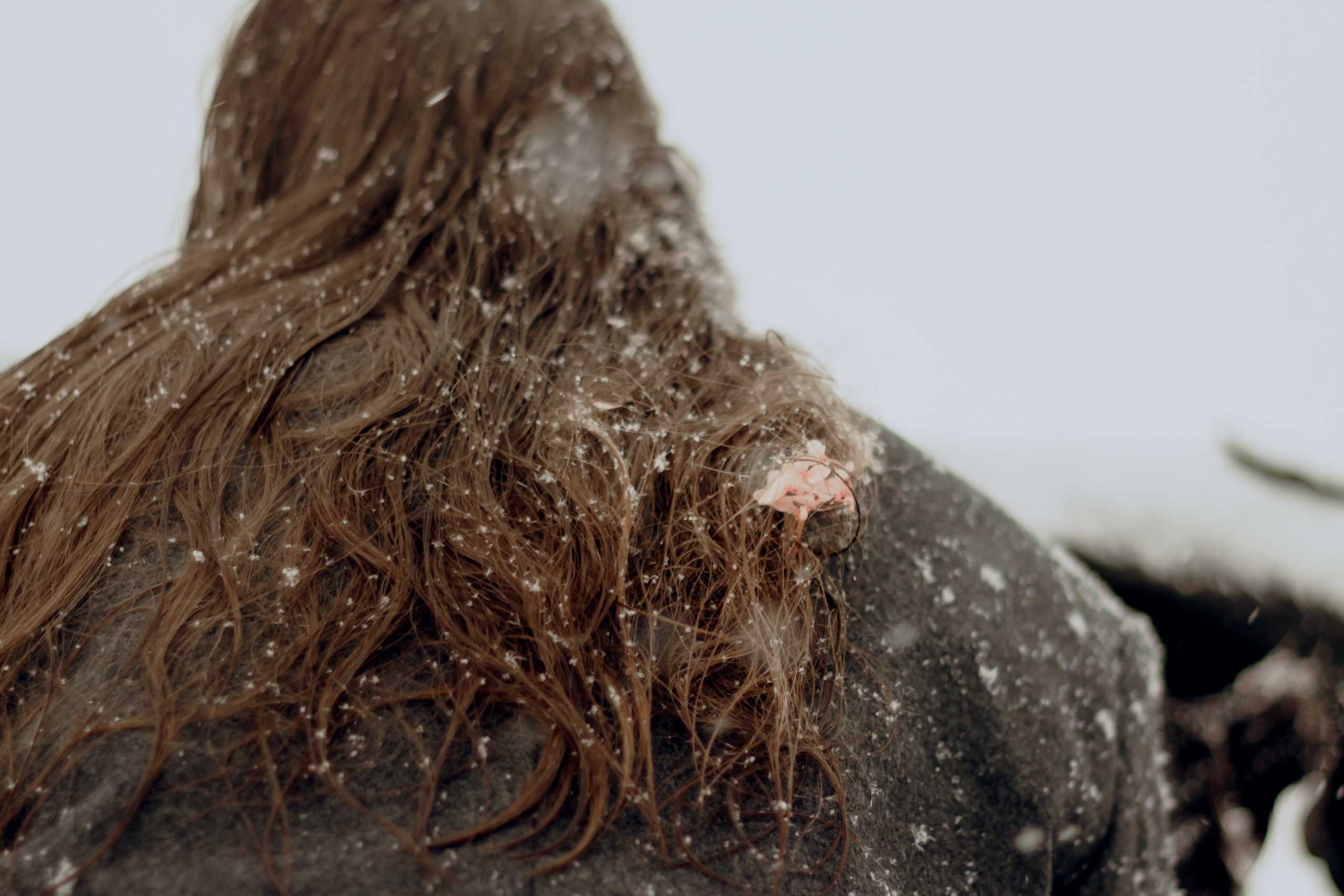 Асим и Леся. Главная