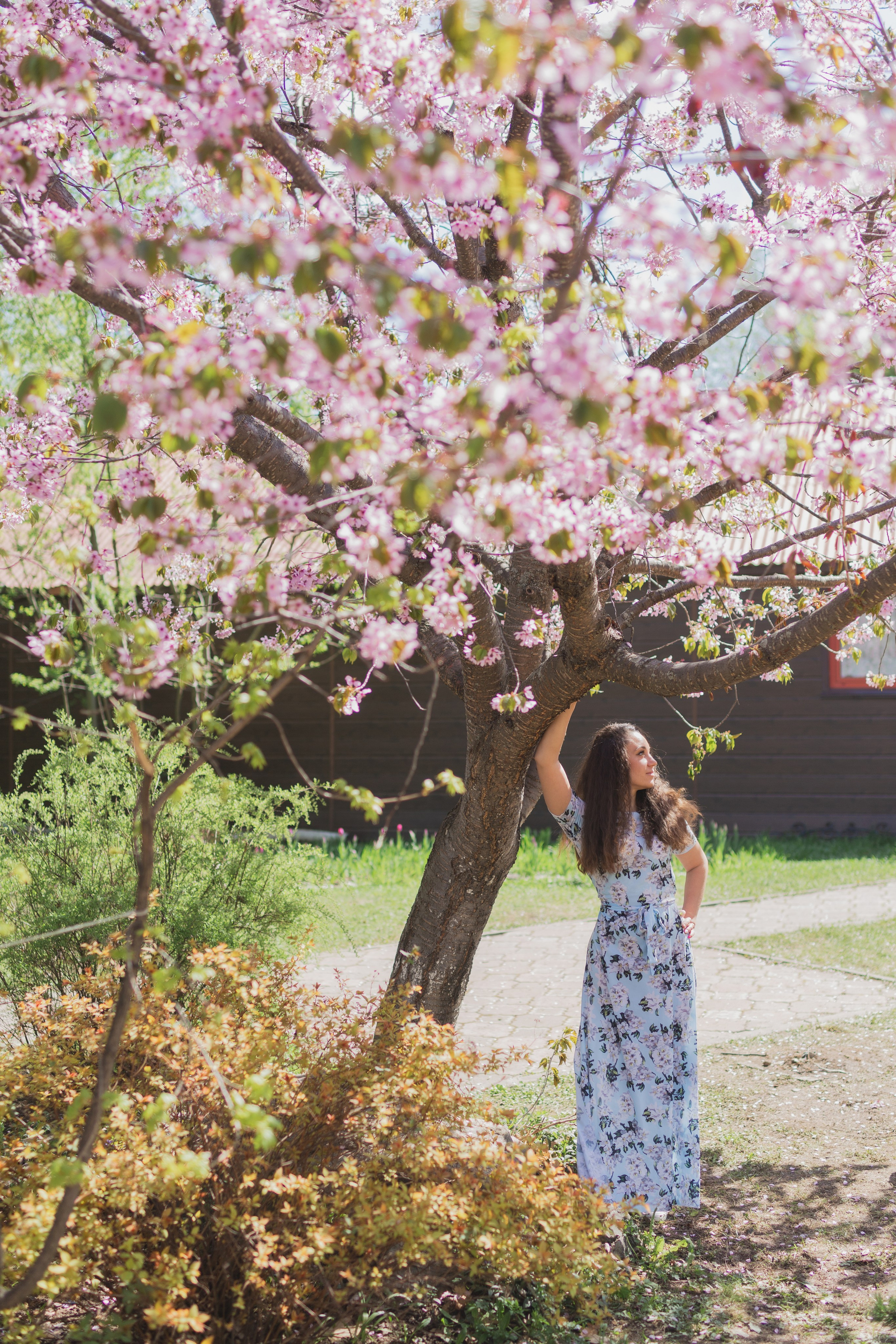 Настя и сакура. Фотограф Южно-Сахалинск