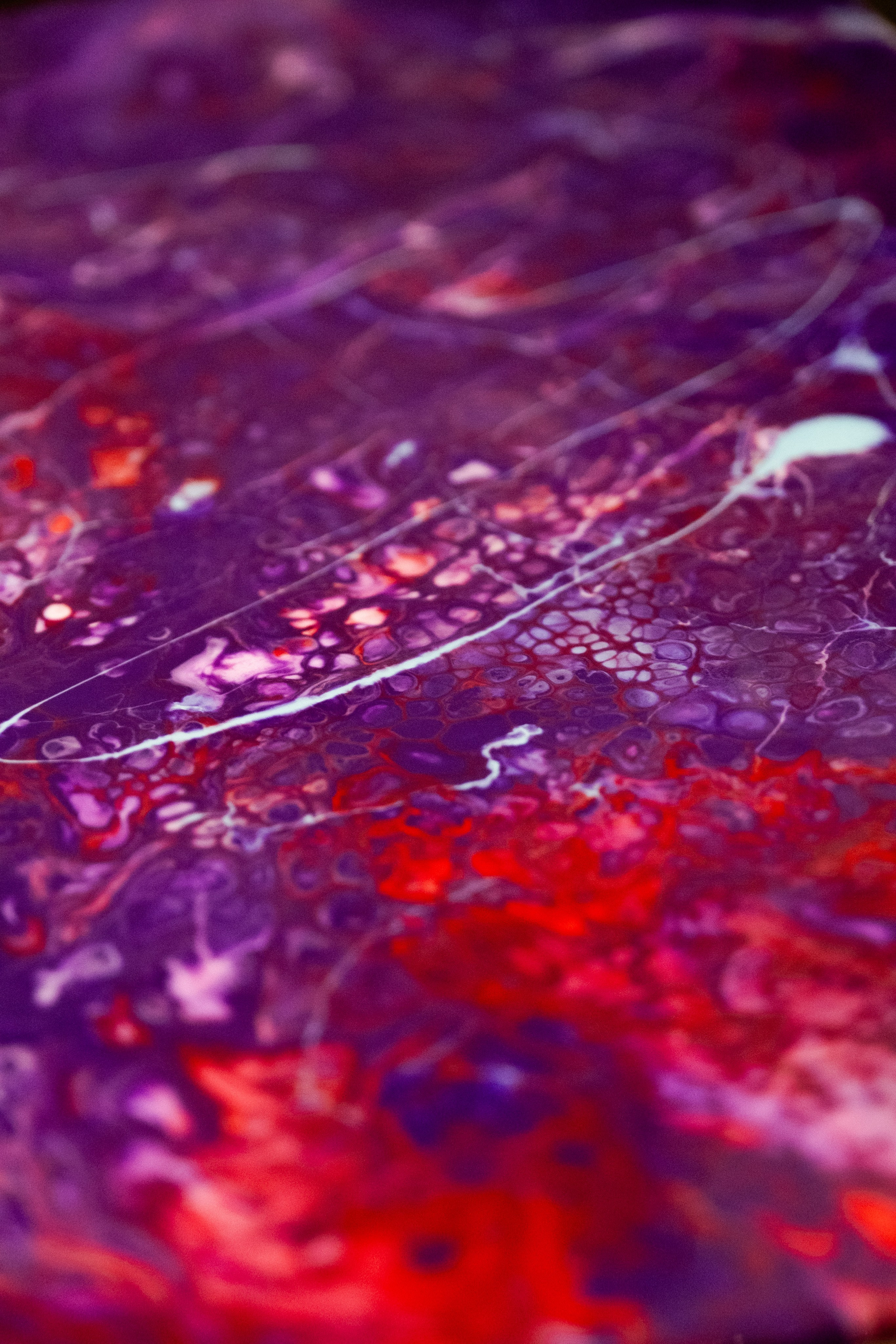 JTI event. Видеограф и Фотограф в Алматы и Астана