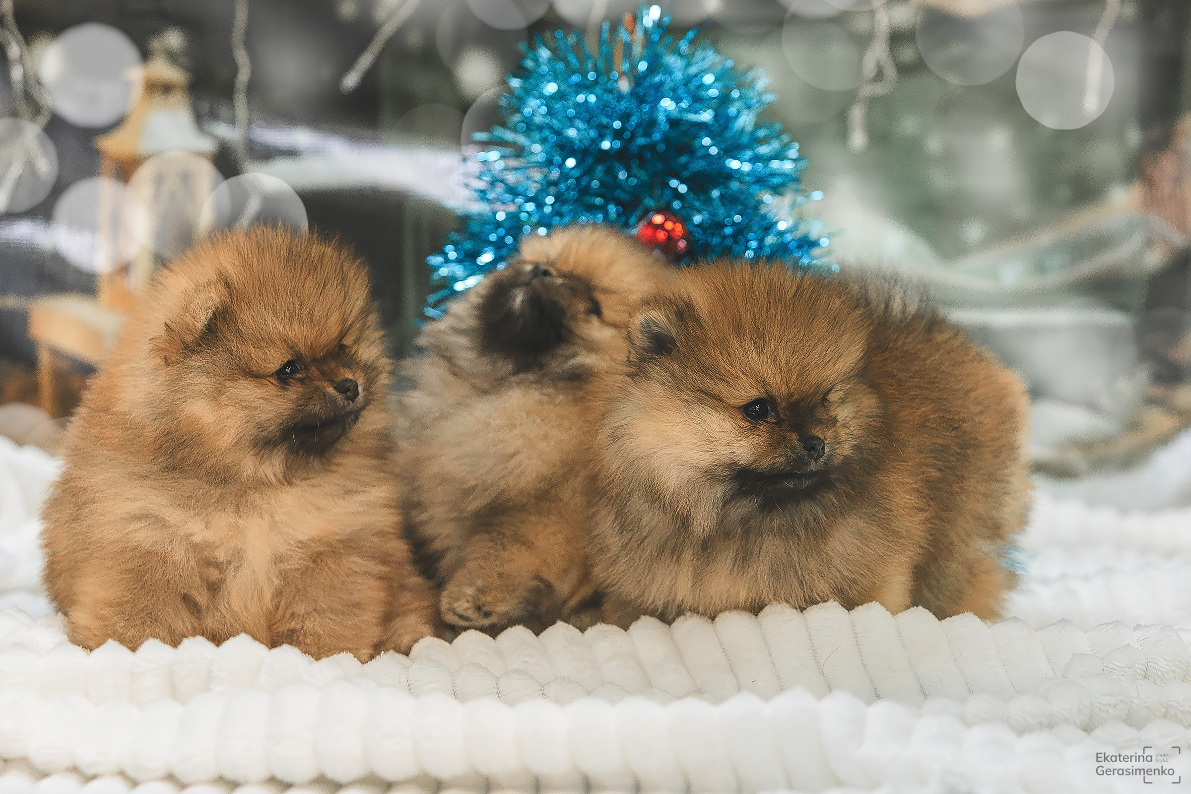 Фотодень. Htykk_photo