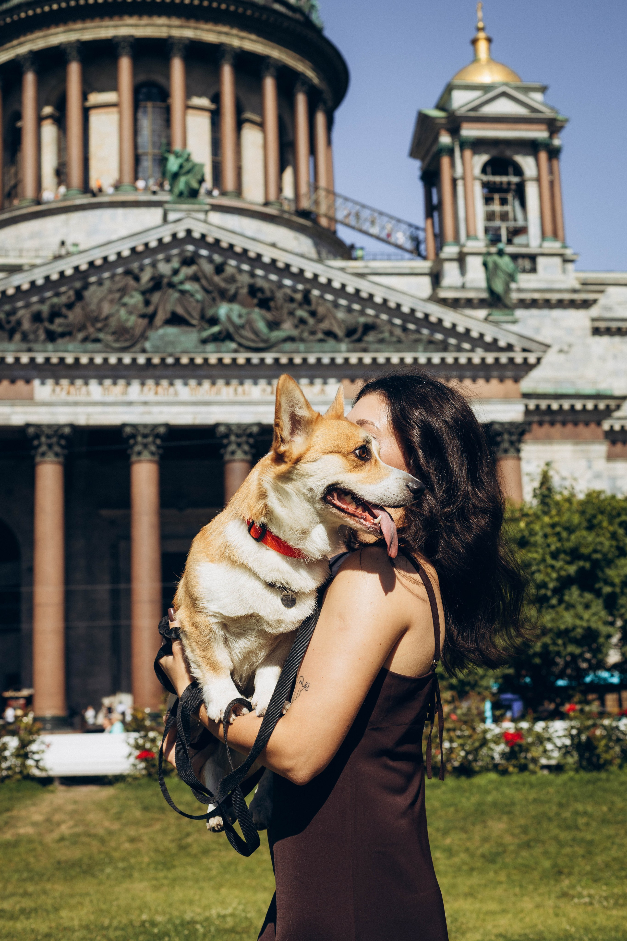 Фотосессия с собакой. Фотограф в Санкт-Петербурге Полина