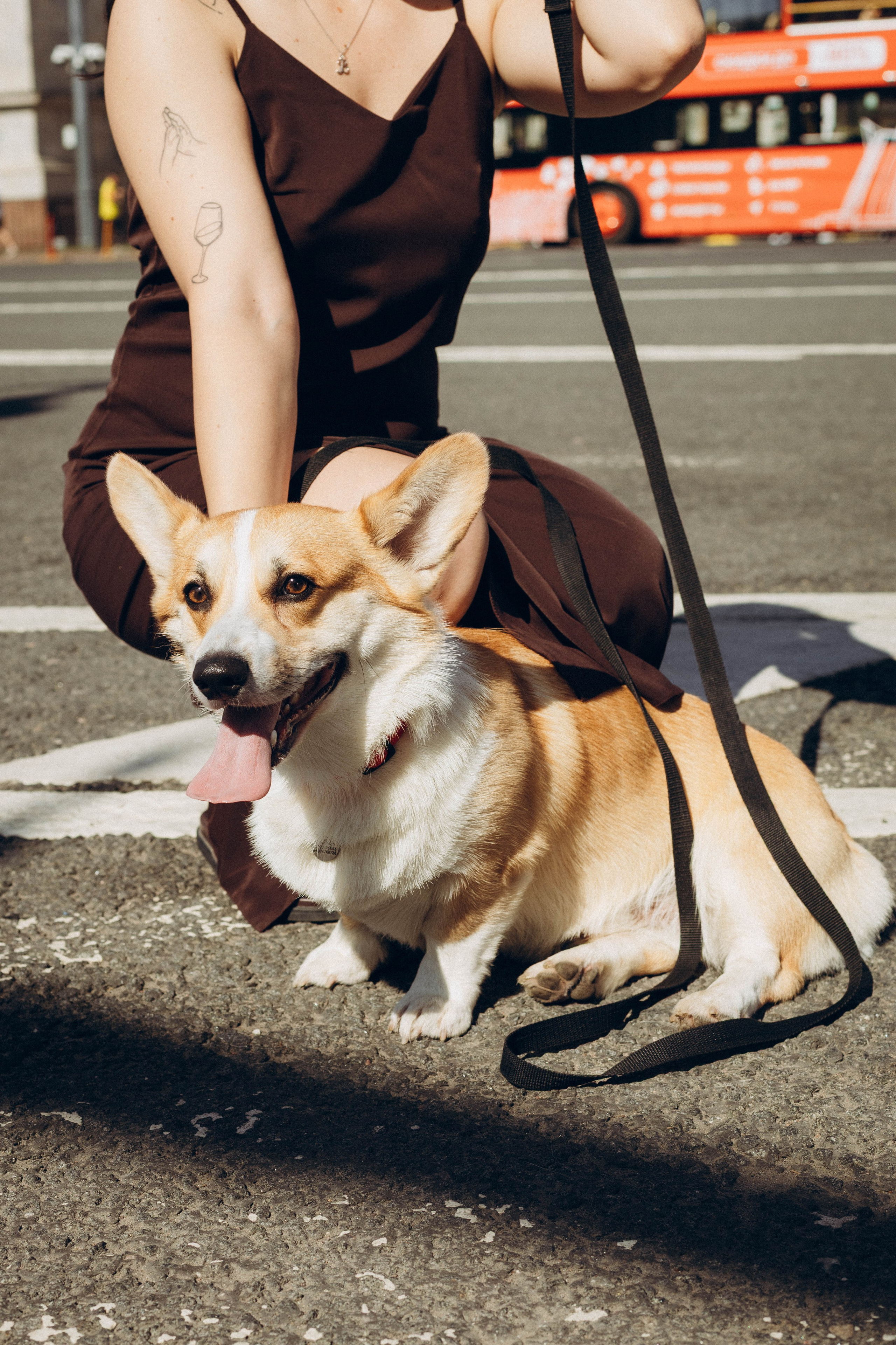 Фотосессия с собакой. Фотограф в Санкт-Петербурге Полина